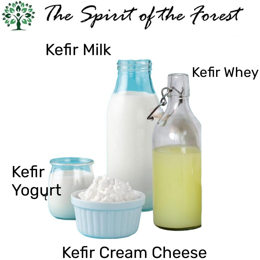 Kefir, Kefir Grains, Scoby, Milk Kefir Grains, Live Starter, Cultures, Bulgaros De Leche, Bulgarian Milk Kefir Grains, Kefir Strainer, Works W/Whole Milk, Coconut Milk, Almond Milk, Oat Milk