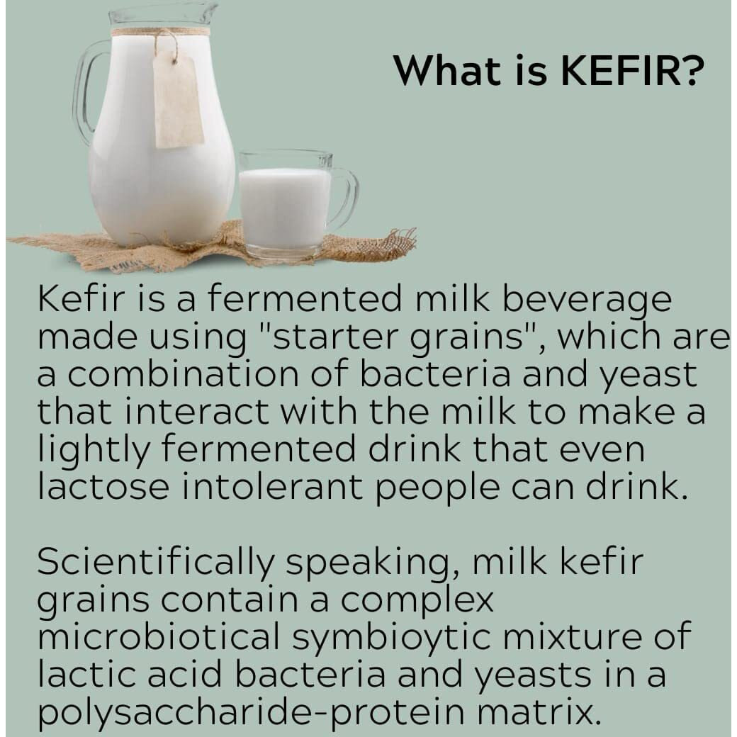 Kefir, Kefir Grains, Scoby, Milk Kefir Grains, Live Starter, Cultures, Bulgaros De Leche, Bulgarian Milk Kefir Grains, Kefir Strainer, Works W/Whole Milk, Coconut Milk, Almond Milk, Oat Milk