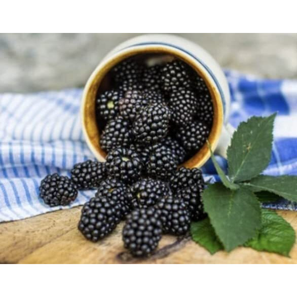 Tennessee's Best Old Fashioned Boysenberry Jam | Handcrafted With Simple Ingredients | Small Batch Made | 18 Oz Reseable Glass Jar (Boysenberry Jam)