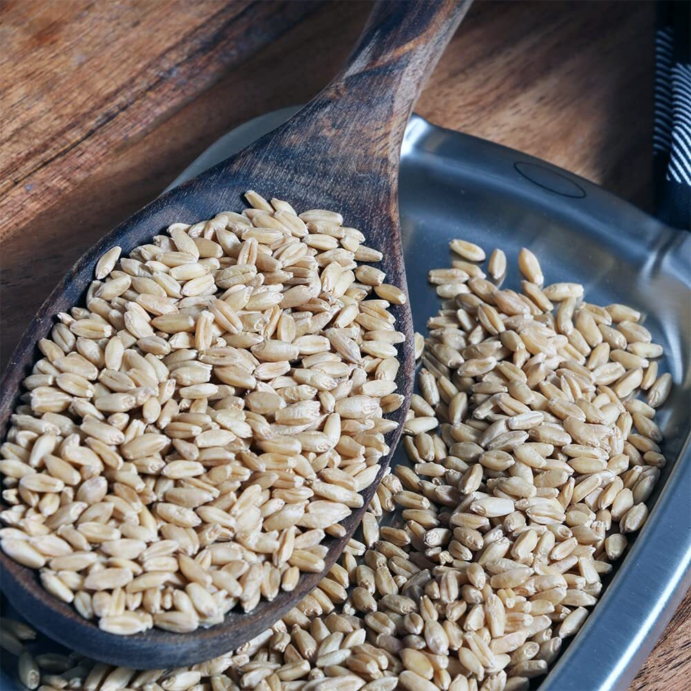 Organic Hard White Wheat Berries - 10Lbs