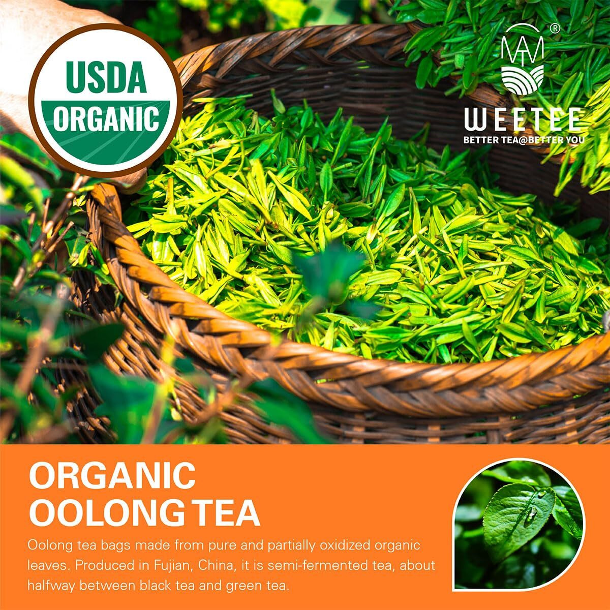 Wt Weetee Organic Oolong Tea Bags, Usda Organic Oolong Tea 100 Count, Mild & Refreshing, Natural Caffein, Unsweetened Healthy Tea Bag