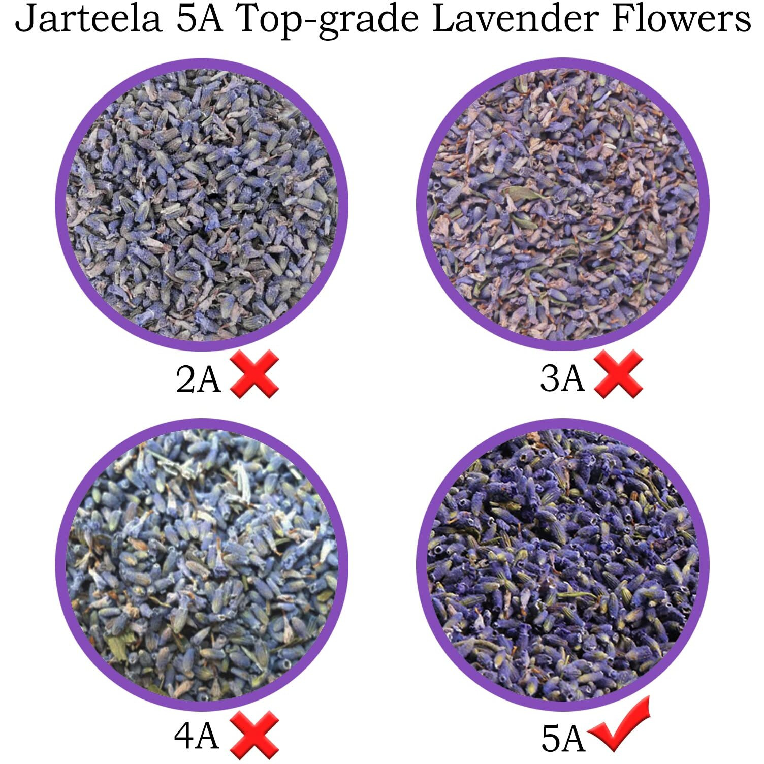 Jarteela - Dried Lavender Flowers - 3.53Oz/100G - Premium Natural Food-Grade Edible Flowers - Culinary Lavender Buds - Non-Gmo - Perfect For Tea, Baking, Lemonade, Diy, Sachets