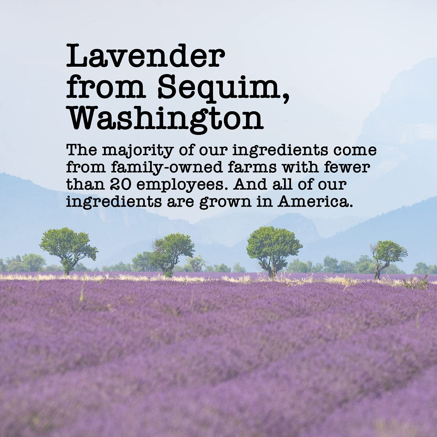 Lavender Chamomile Mint Sleepynight Tea, 15-20 Servings, Eco-Conscious Zip Pouch, Caffeine Free, Pure Loose Leaf Tea Grown In America, 1.42 Ounce (Small)