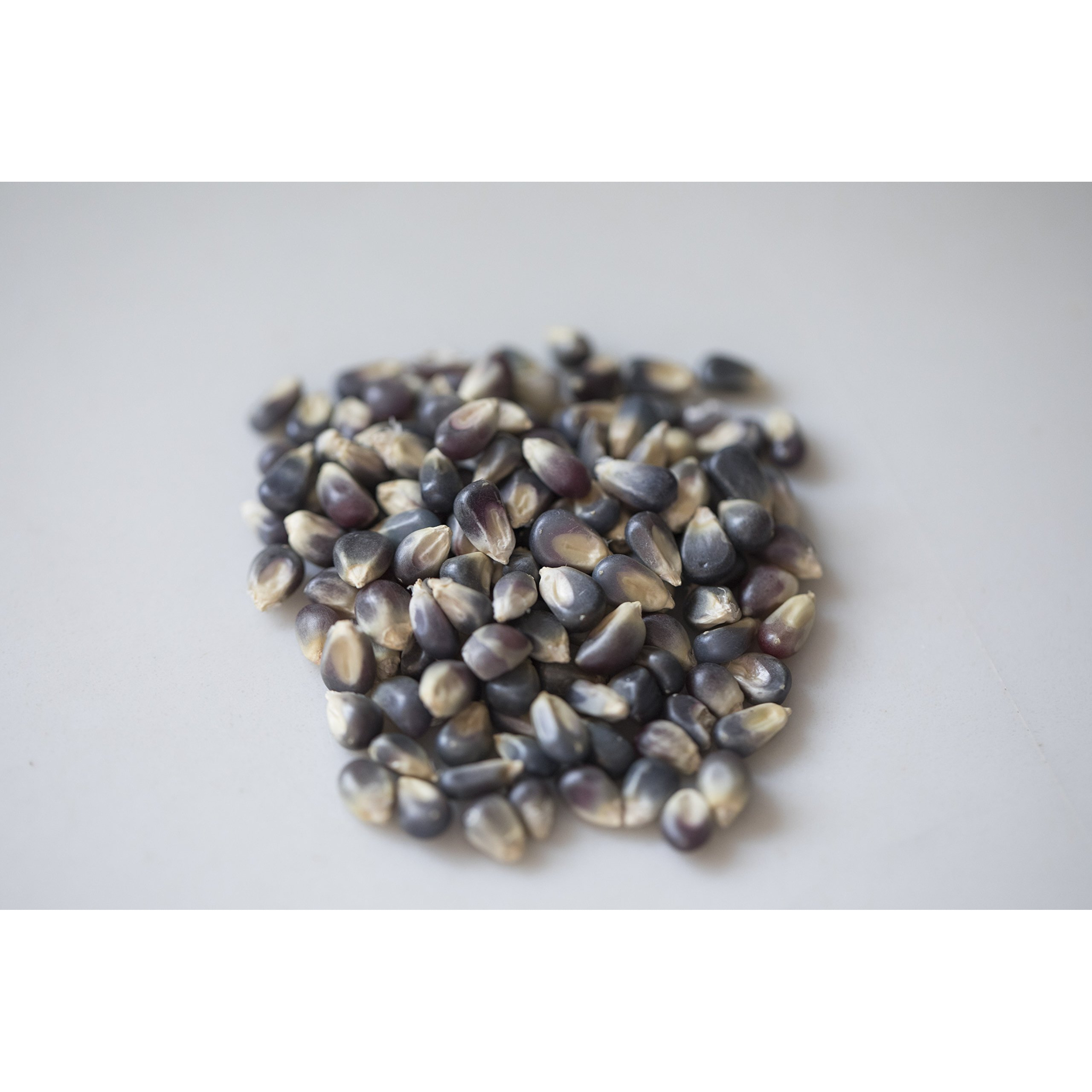 Amish Country Popcorn | 1 Lb Midnight Blue Kernels | Old Fashioned, Non-Gmo And Gluten Free (1Lb Bag)