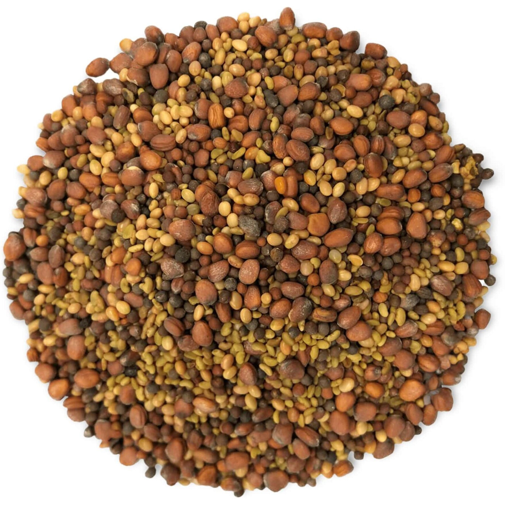 Food To Live Organic Salad Mix Of Sprouting Seeds, 8 Ounces - Non-Gmo Broccoli, Radish, Clover, Alfalfa. Rich Germination Rate, Non-Irradiated, Kosher, Vegan Superfood, Bulk, Rich In Sulforaphane