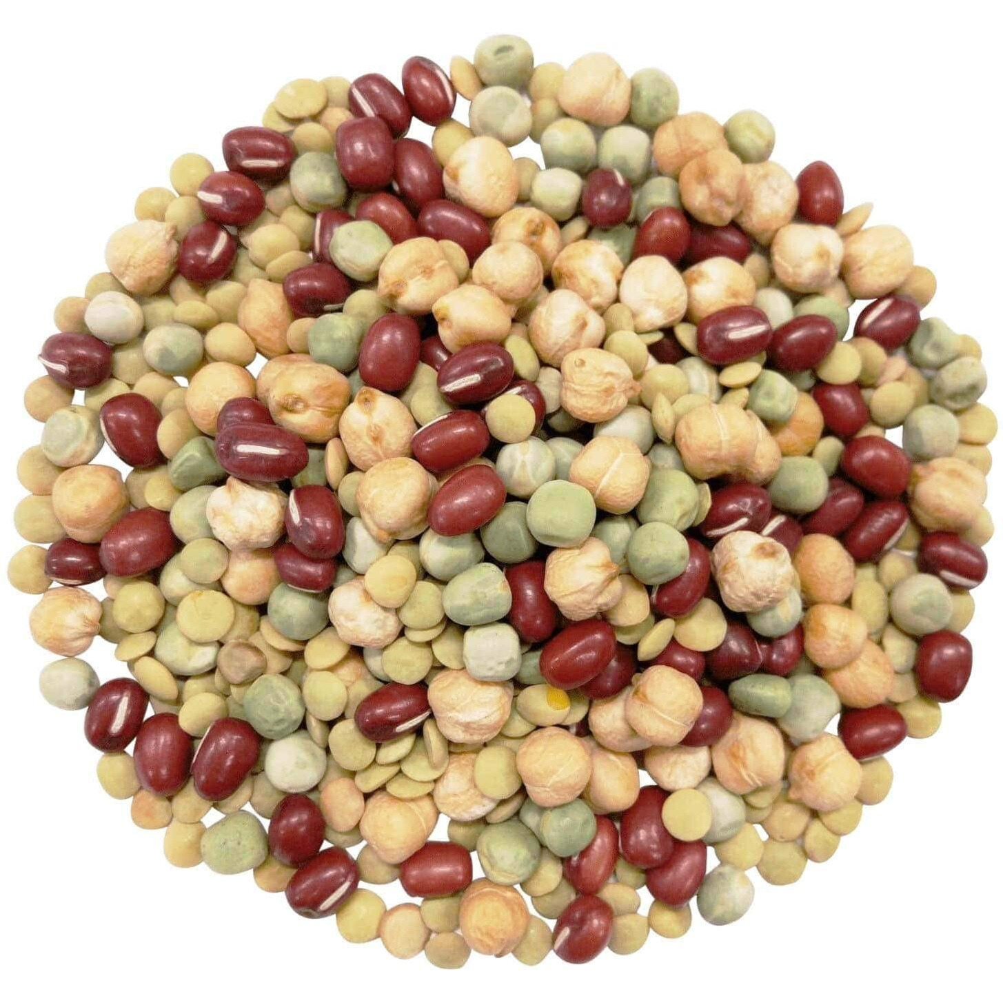 Food To Live Organic Crunchy Mix Of Sprouting Beans, 1 Pound - Non-Gmo, Kosher, Non-Irradiated, Vegan, Raw, Dried, Bulk - Organic Green Peas, Organic Adzuki, Organic Lentil, Organic Garbanzo