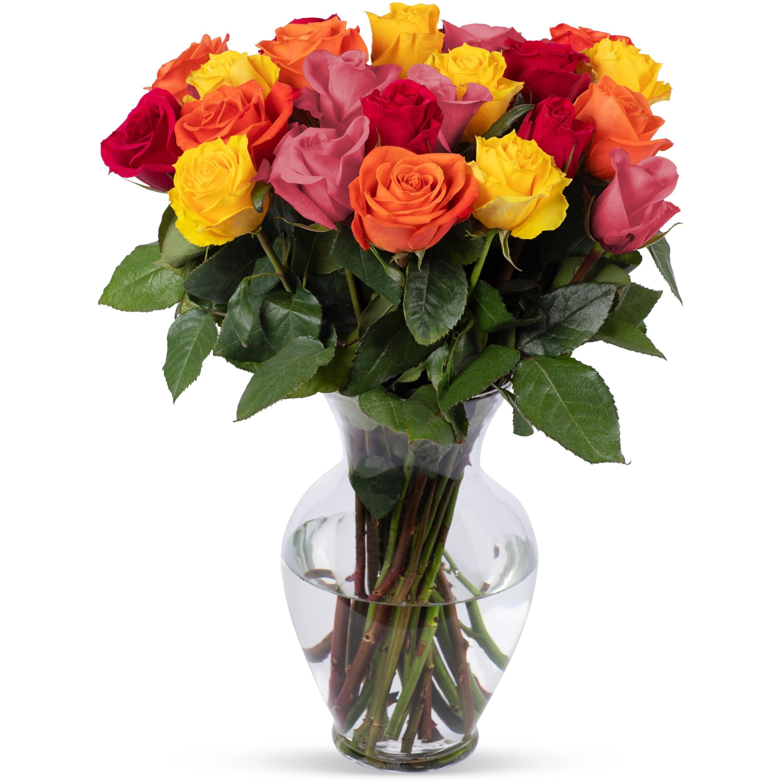 Benchmark Bouquets, 24 Stem Rainbow Roses, Glass Vase Included, Gift Fresh Flowers For Birthday, Anniversary, Get Well, Sympathy, Congratulations, Thank You, Just Because