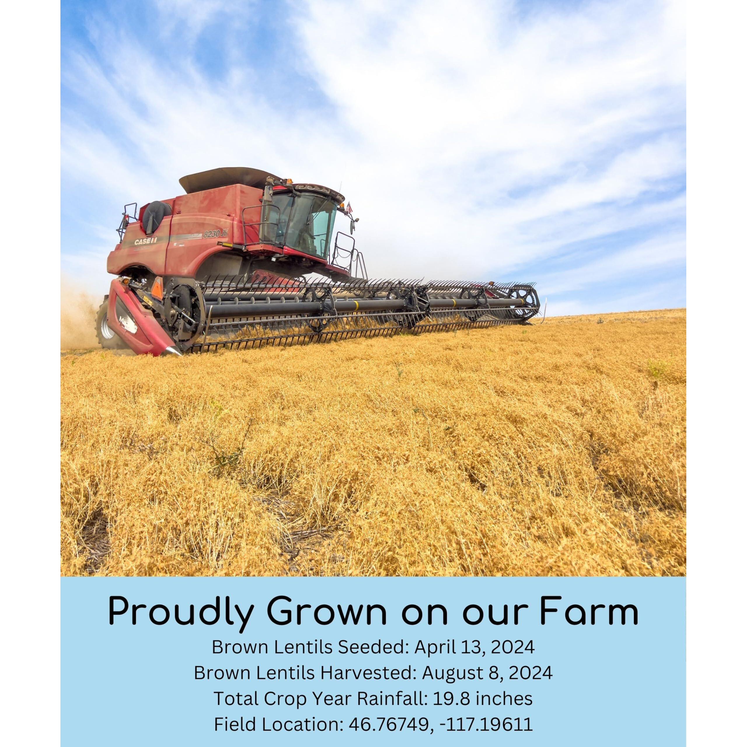 Mader Family Farmed Non-Gmo Brown Lentils Palouse Brand, Non-Gmo, Kosher, Bulk