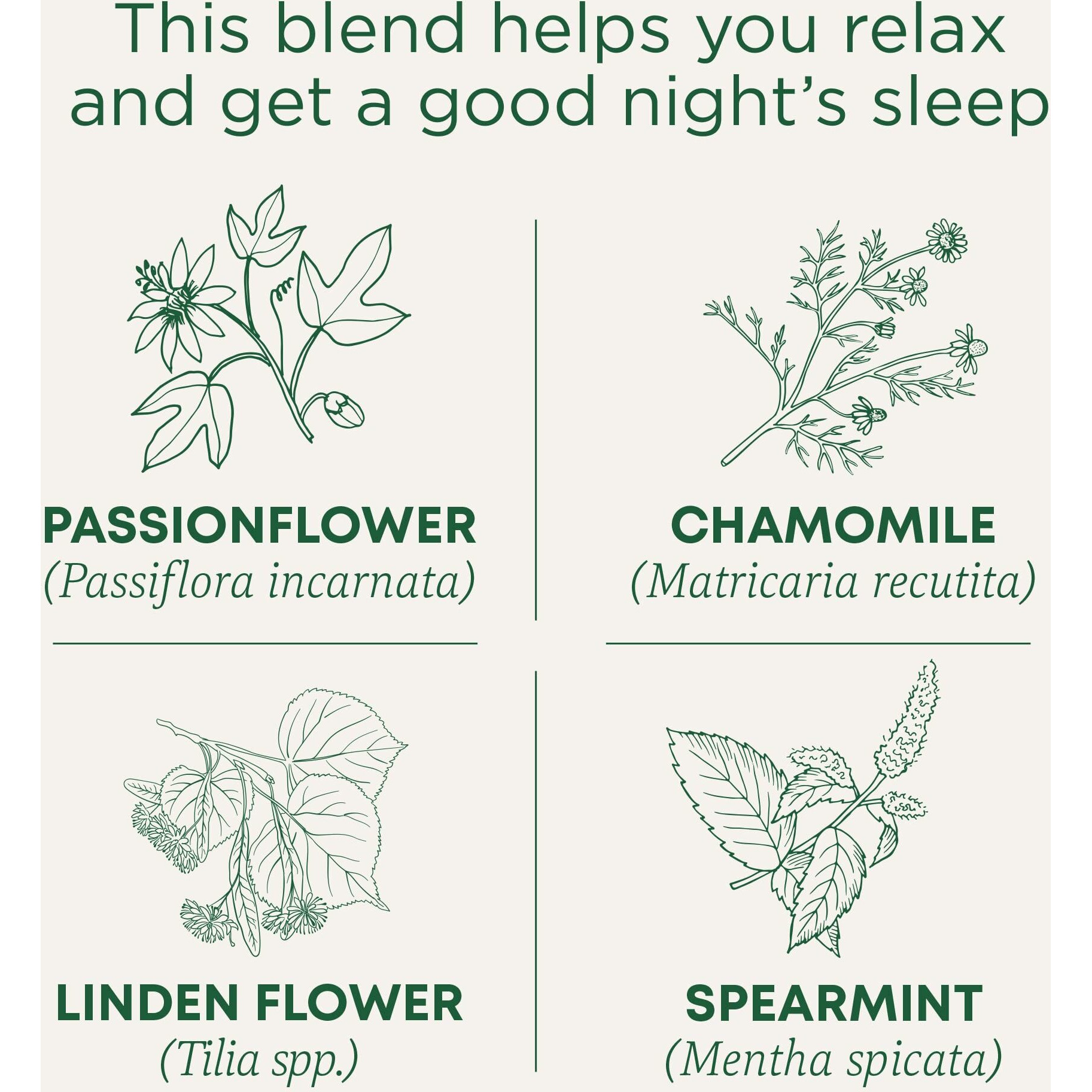 Traditional Medicinals Tea, Organic Nighty Night, Relax & Get A Good Night's Sleep, 96 Tea Bags (6 Pack)