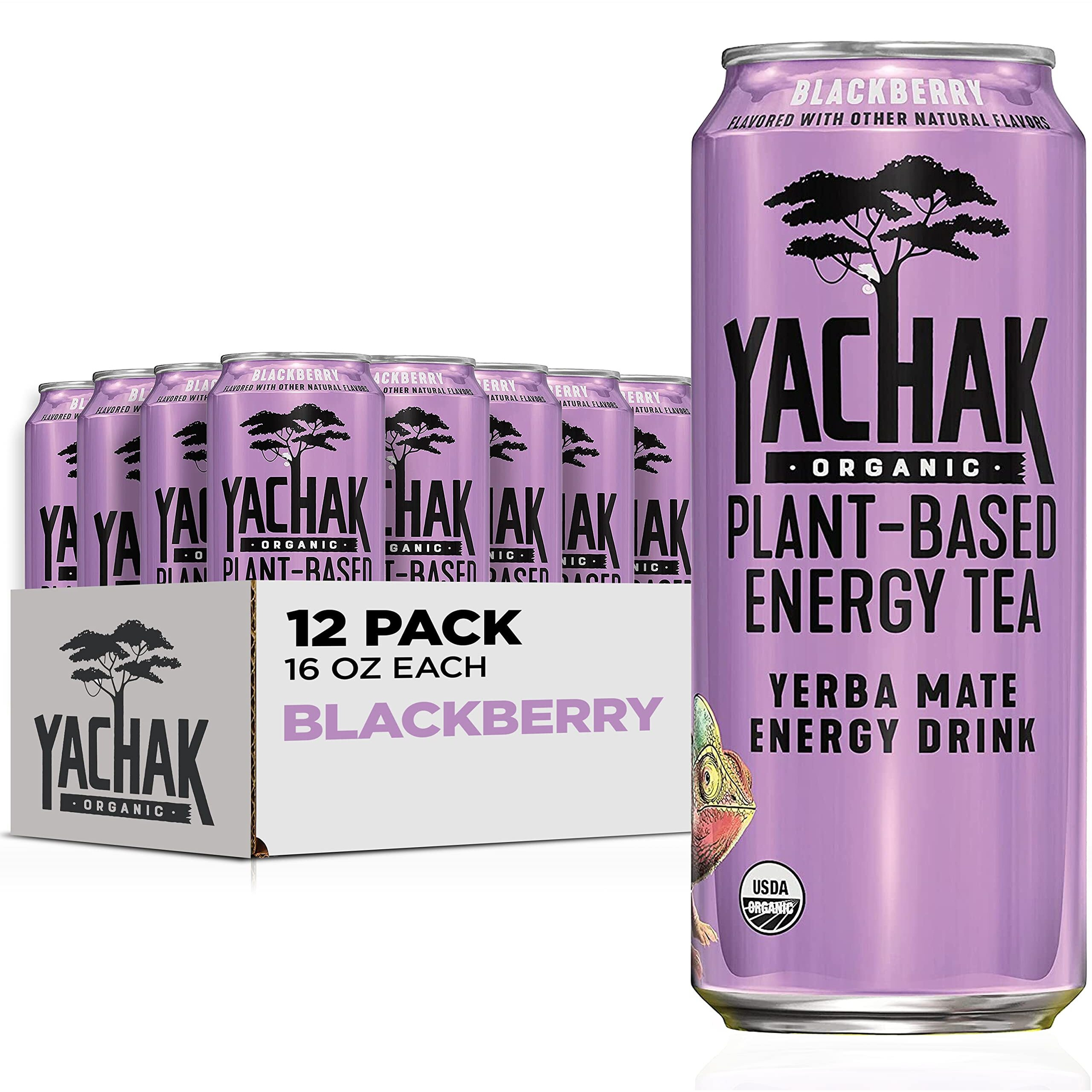 Yachak Yerba Mate Drink, Blackberry, 16 Fl Oz Cans, Pack Of 12