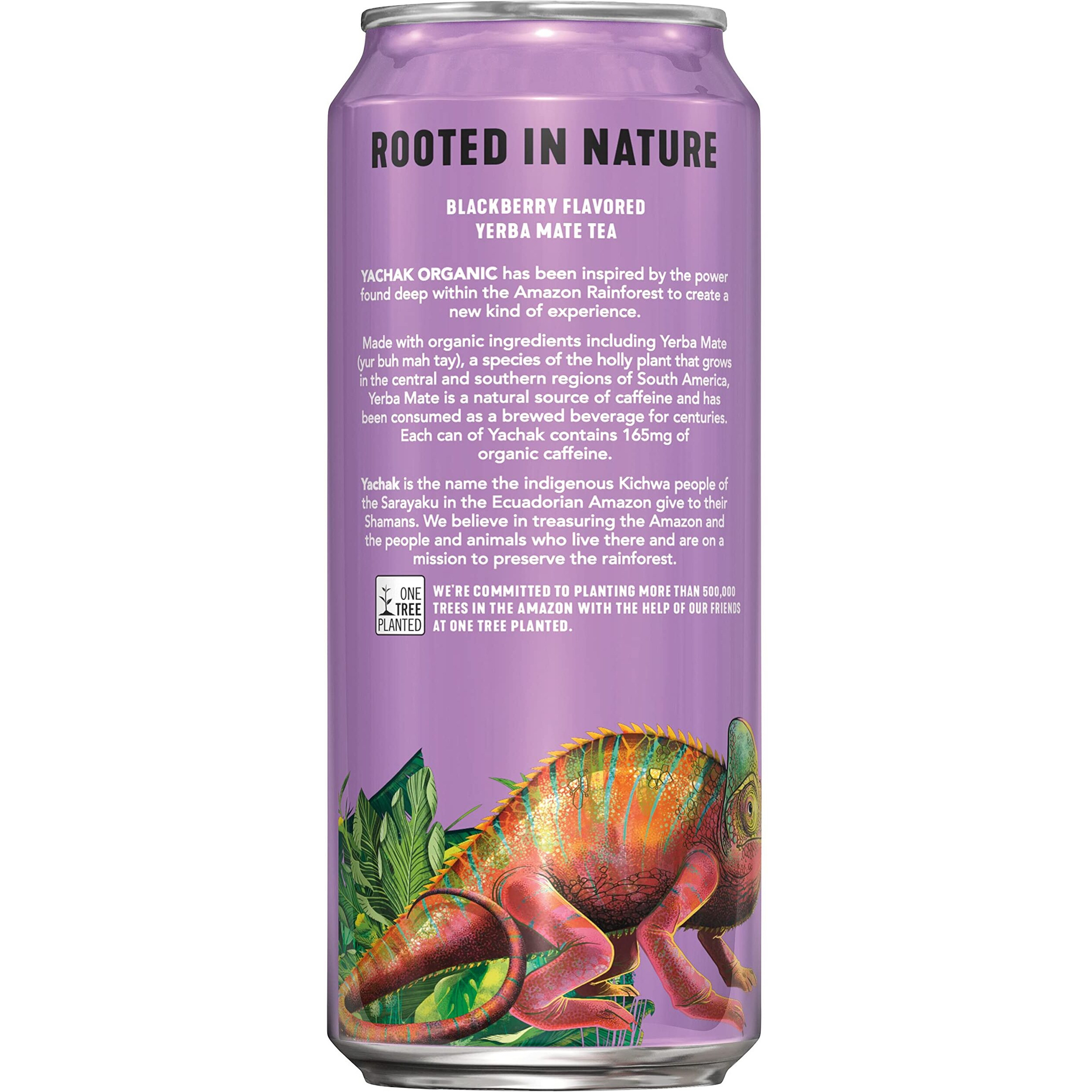 Yachak Yerba Mate Drink, Blackberry, 16 Fl Oz Cans, Pack Of 12