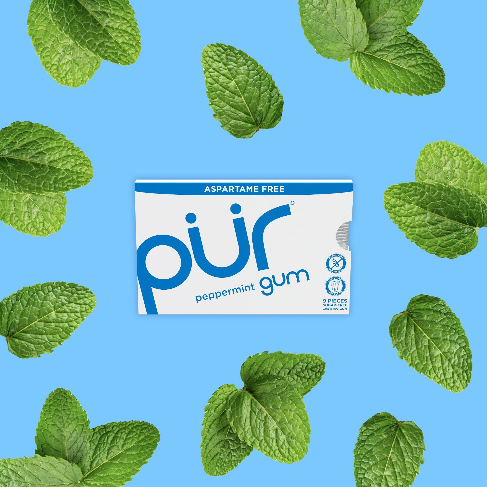 Pur Gum | Aspartame Free Chewing Gum | 100% Xylitol | Natural Peppermint Flavored Gum, 9 Pieces (Pack Of 12)