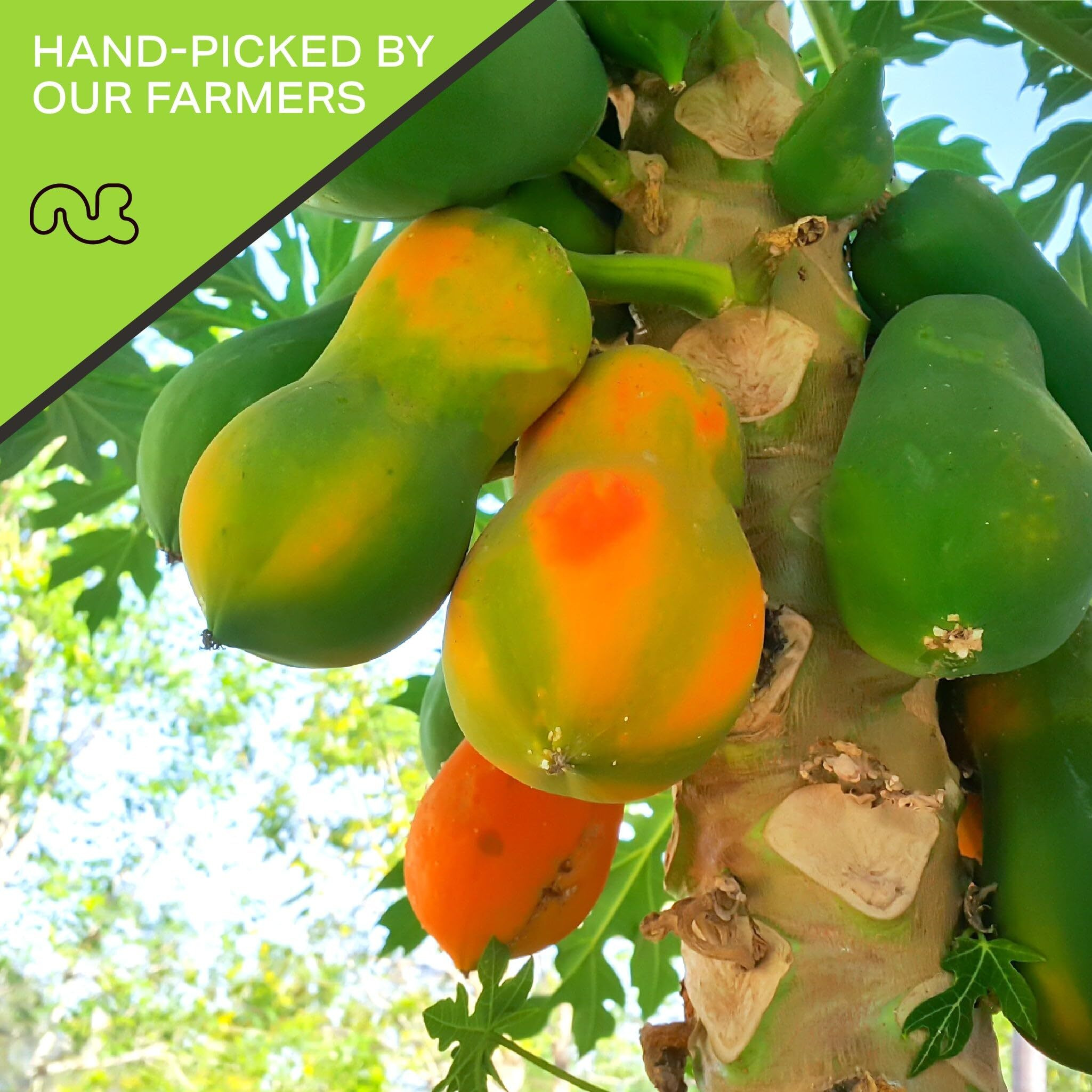 Nut Cravings Dry Fruits - Sun Dried Papaya Chunks, With Sugar Added (80Oz - 5 Lb) Packed Fresh In Resealable Bag - Sweet Snack, Healthy Food, All Natural, Vegan, Kosher Certified