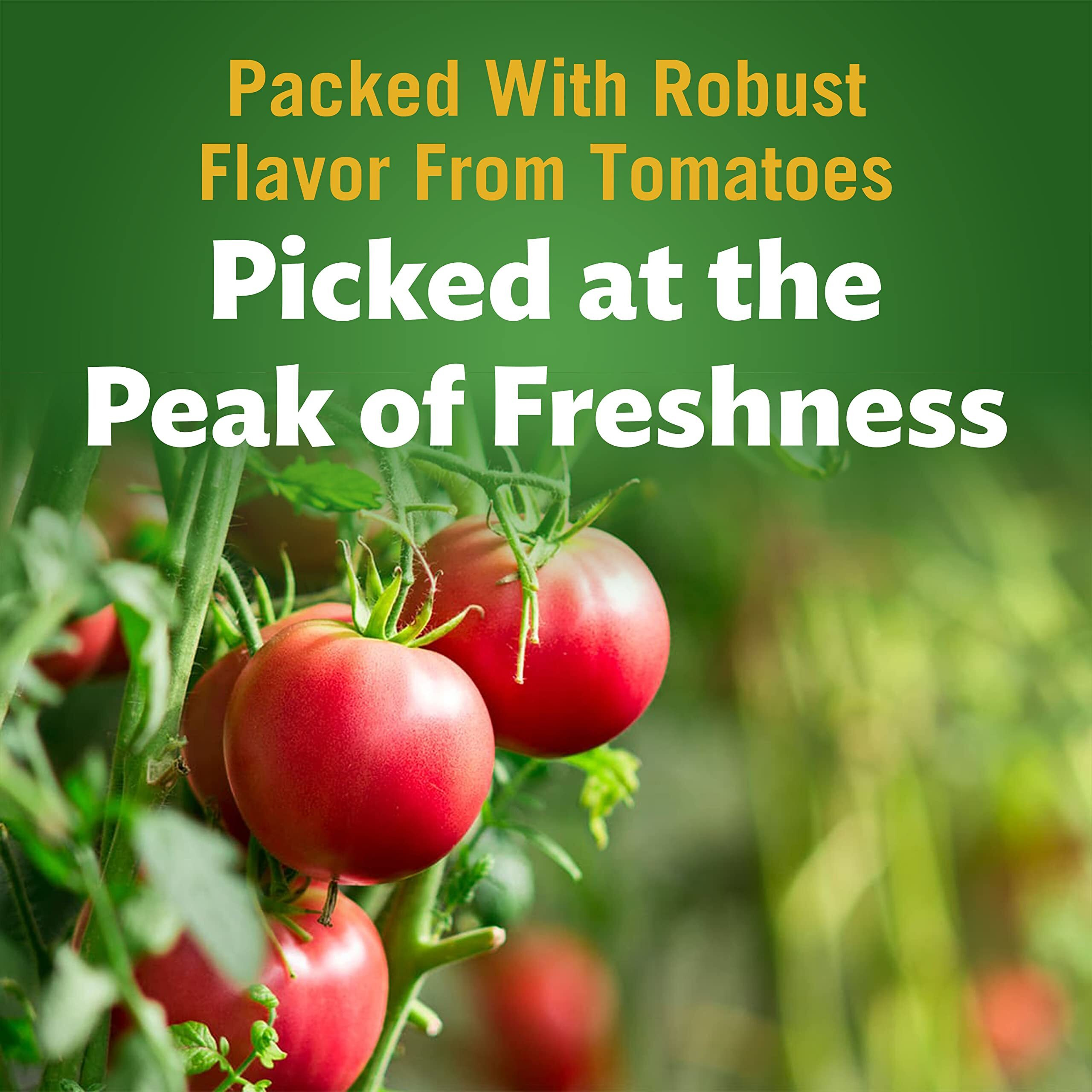 Del Monte Bottled Tomato Ketchup, 24 Oz