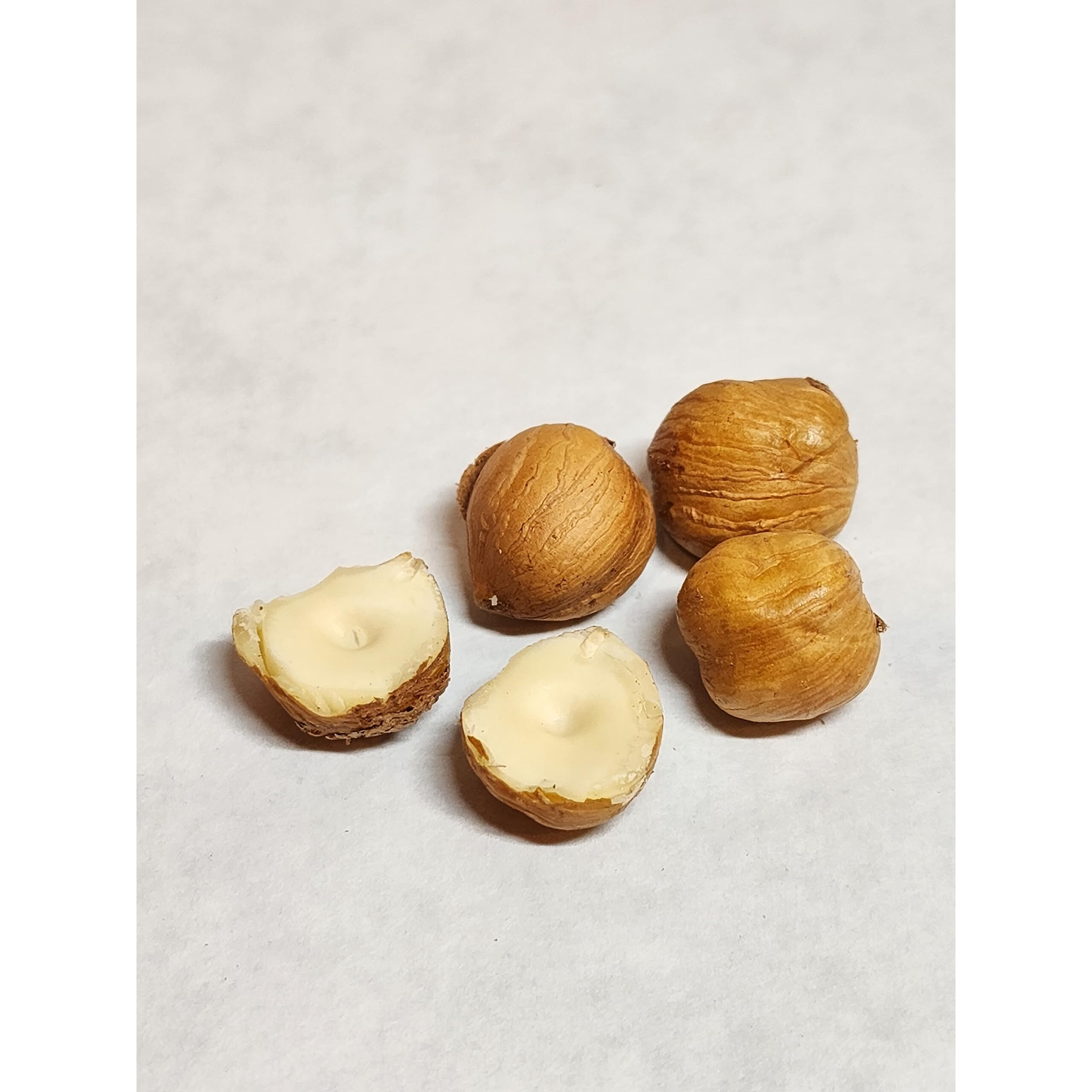 Hazelnuts In-Shell From Our Family Orchard In Washington State (Raw, 4 Pounds)