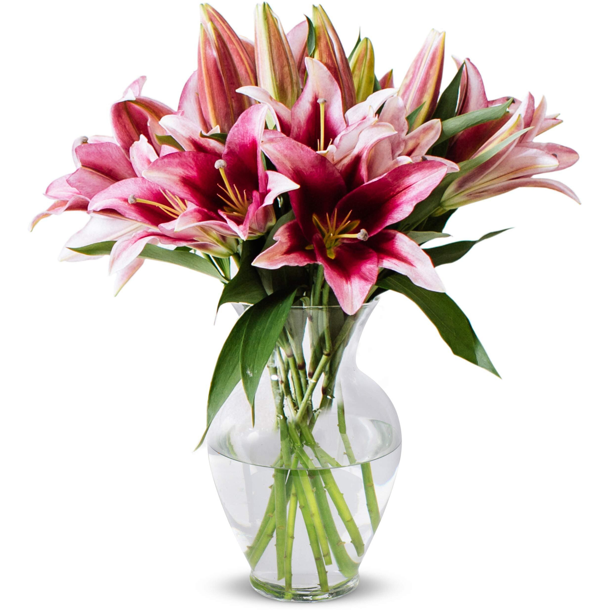 Benchmark Bouquets, 8 Stem Stargazer Lilies, Glass Vase Included, Gift Fresh Flowers For Birthday, Anniversary, Get Well, Sympathy, Congratulations, Thank You, Just Because