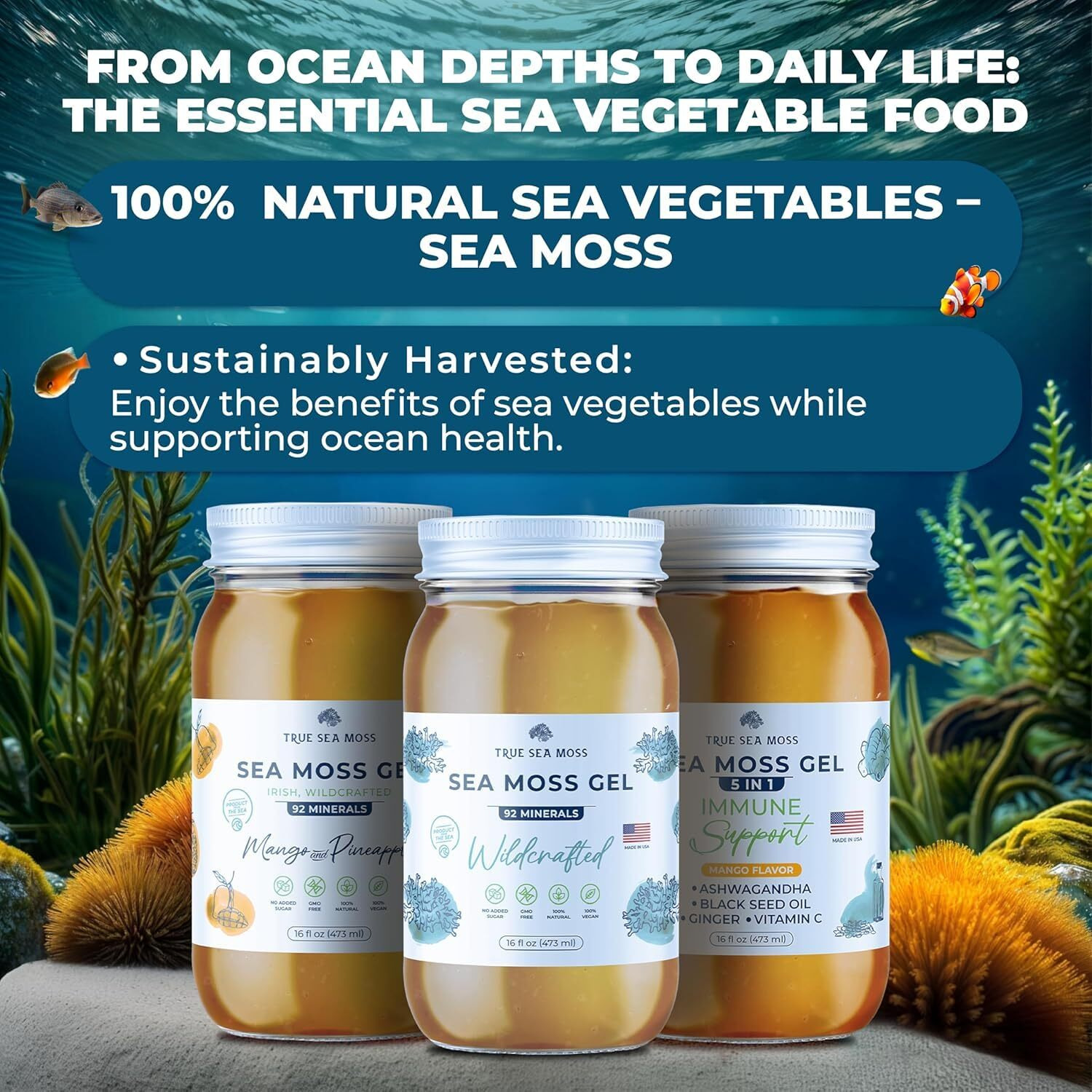 Trueseamoss Wildcrafted Irish Sea Moss Gel -7 Flavors- Nutritious Raw Seamoss Rich In Minerals, Proteins & Vitamins - Antioxidant Health Sea Moss, Vegan Made In Usa (Mango/Pineapple, 1)