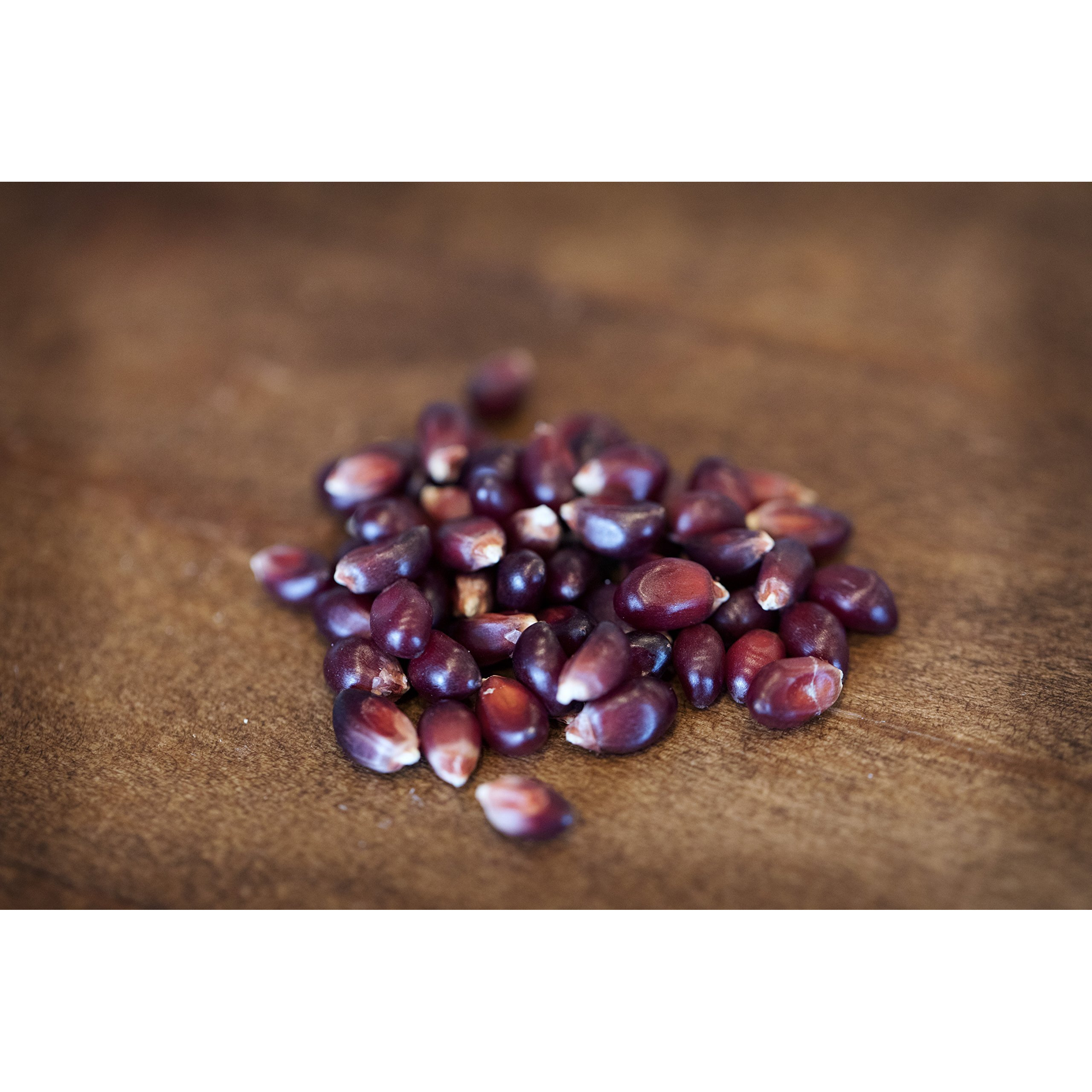 Amish Country Popcorn | 50 Lbs Bag Red Kernels | Old Fashioned, Non-Gmo And Gluten Free (50Lbs Bag)