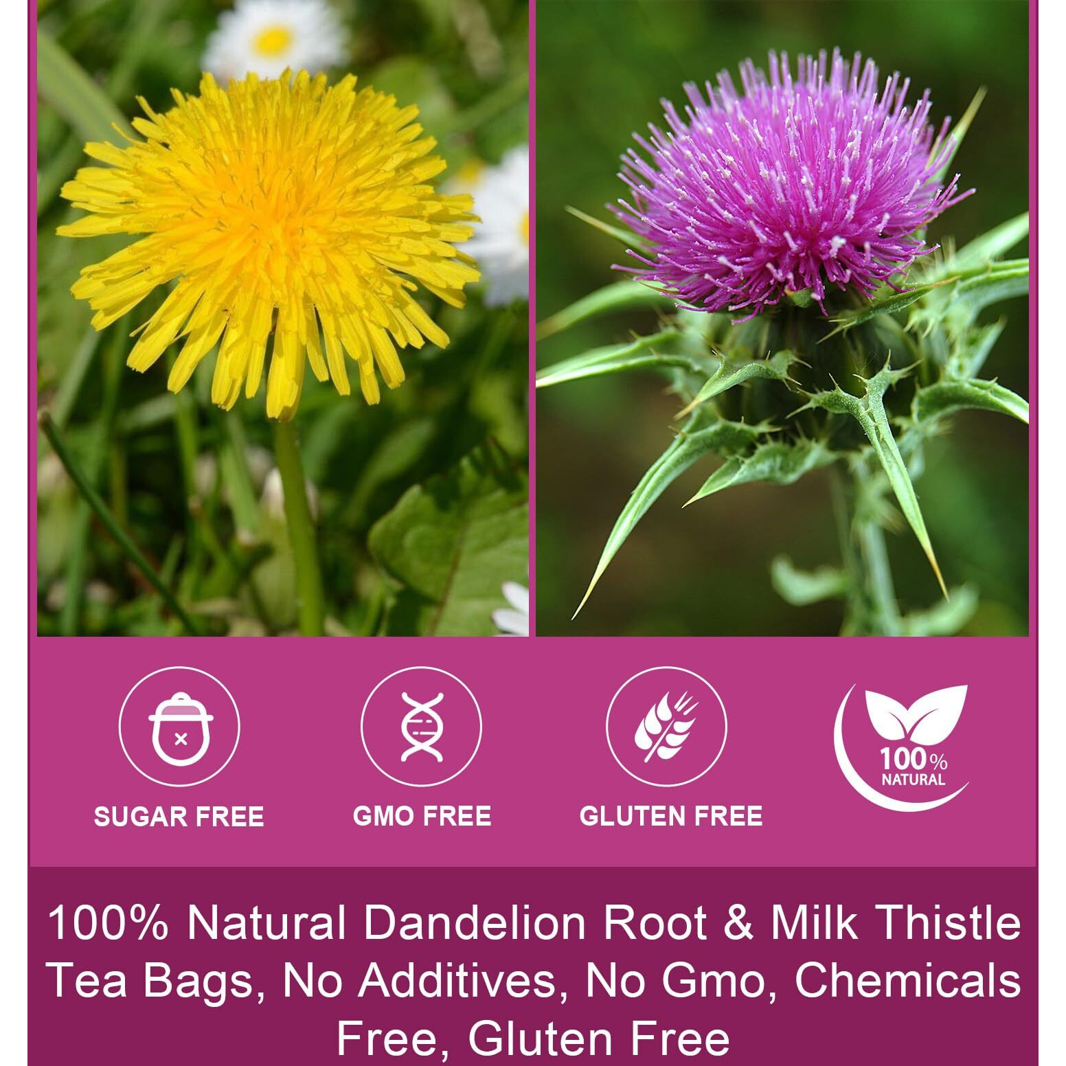 Dried Dandelion Root With Milk Thistle Tea - Natural Dandelion Root And Milk Thistle Herbal Tea Bags For Liver Cleanse, Antioxidant And Immune Support, Caffeine Free - 30 Tea Bags