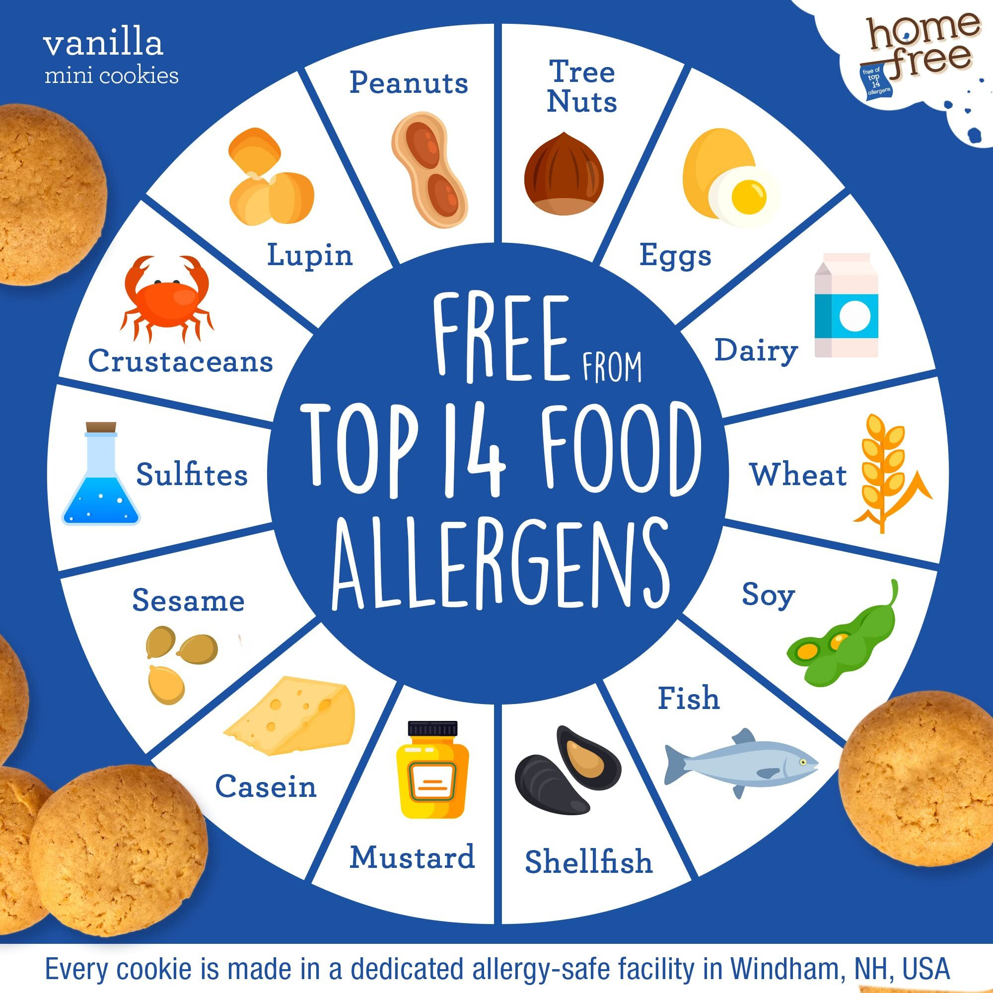 Homefree Mini Vanilla Cookies, Gluten Free, Nut Free, Vegan, School Safe And Allergy Friendly Snack, 5 Oz. Box (Pack Of 1)