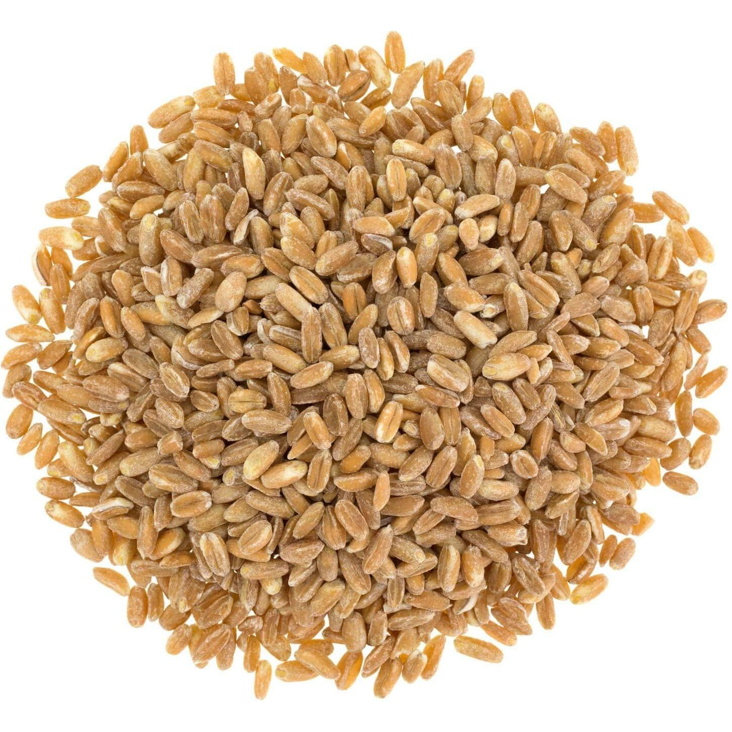 Food To Live Organic Italian Pearled Farro, 1.5 Pounds - Non-Gmo, Kosher, Vegan, Whole Farro Grain In Bulk. Good Source Of Fiber And Protein. Free Of Sodium And Sugar
