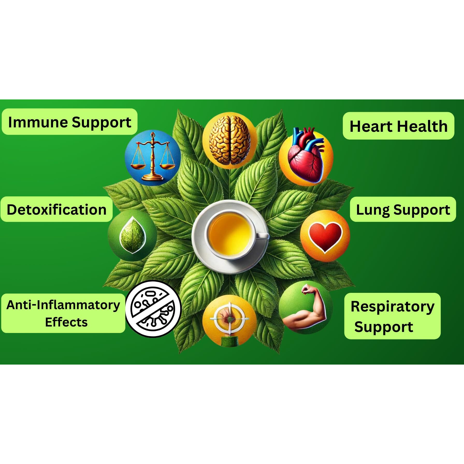 Tozzy Usda Organic Mullein Tea - 100 Count (Pyramid Tea Bags) | Lung & Respiratory Support | Pure Plant-Based Ingredients | Eco-Conscious Packaging