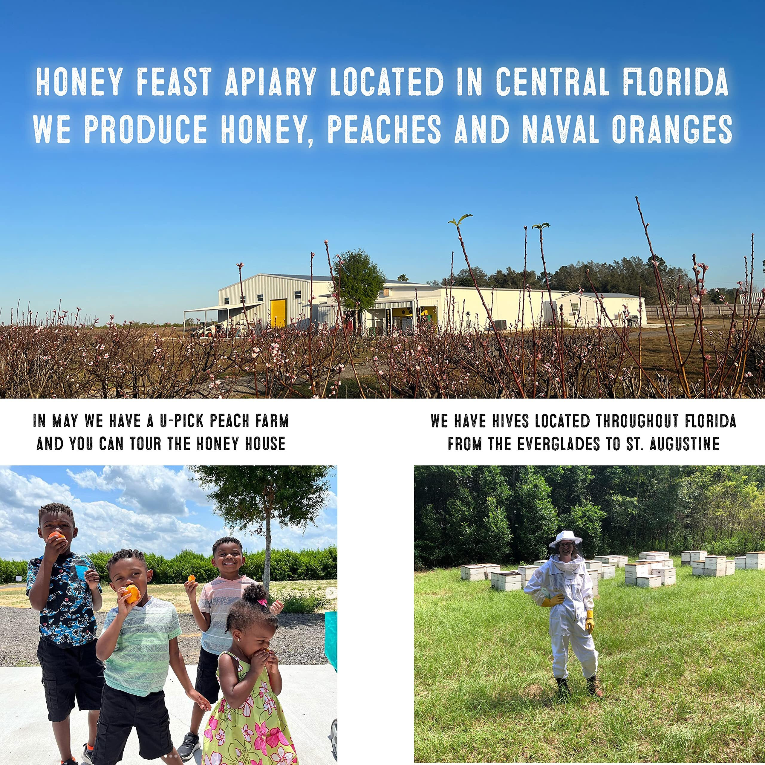 Honey Feast Raw Orange Blossom Honey - 5 Gallons (60 Pounds) Bulk Honey, All Natural, Unfiltered, Unheated Honey From Oranges, Perfect For Large-Scale Sweetening & Baking