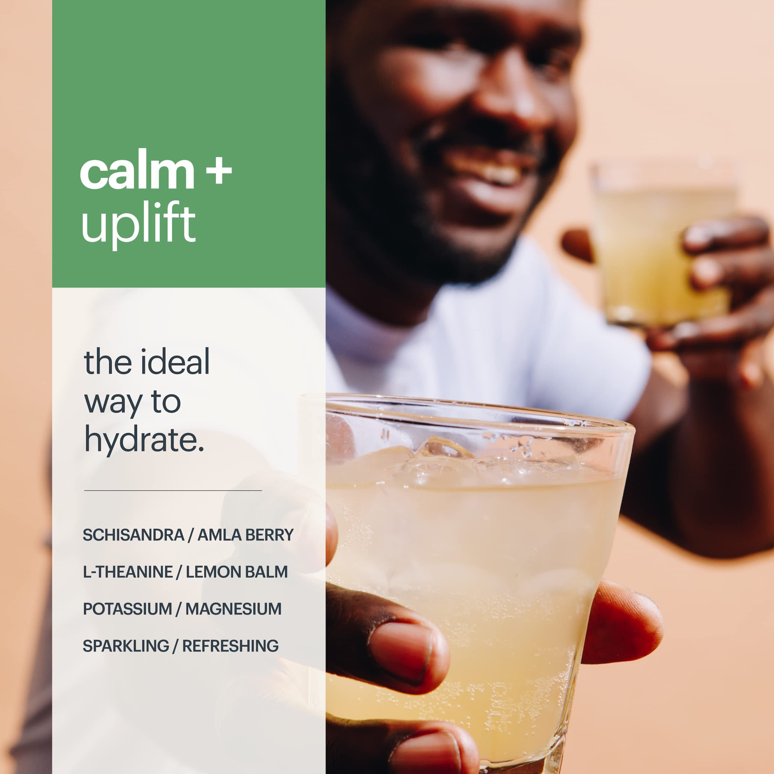 Heywell Sparkling Adaptogenic Water Calm And Hydrate Lime Flavor, Non Caffeinated, Organic, Non Gmo, Vegan, Gluten Free, Dairy Free, 12 Fluid Ounce (Pack Of 12)