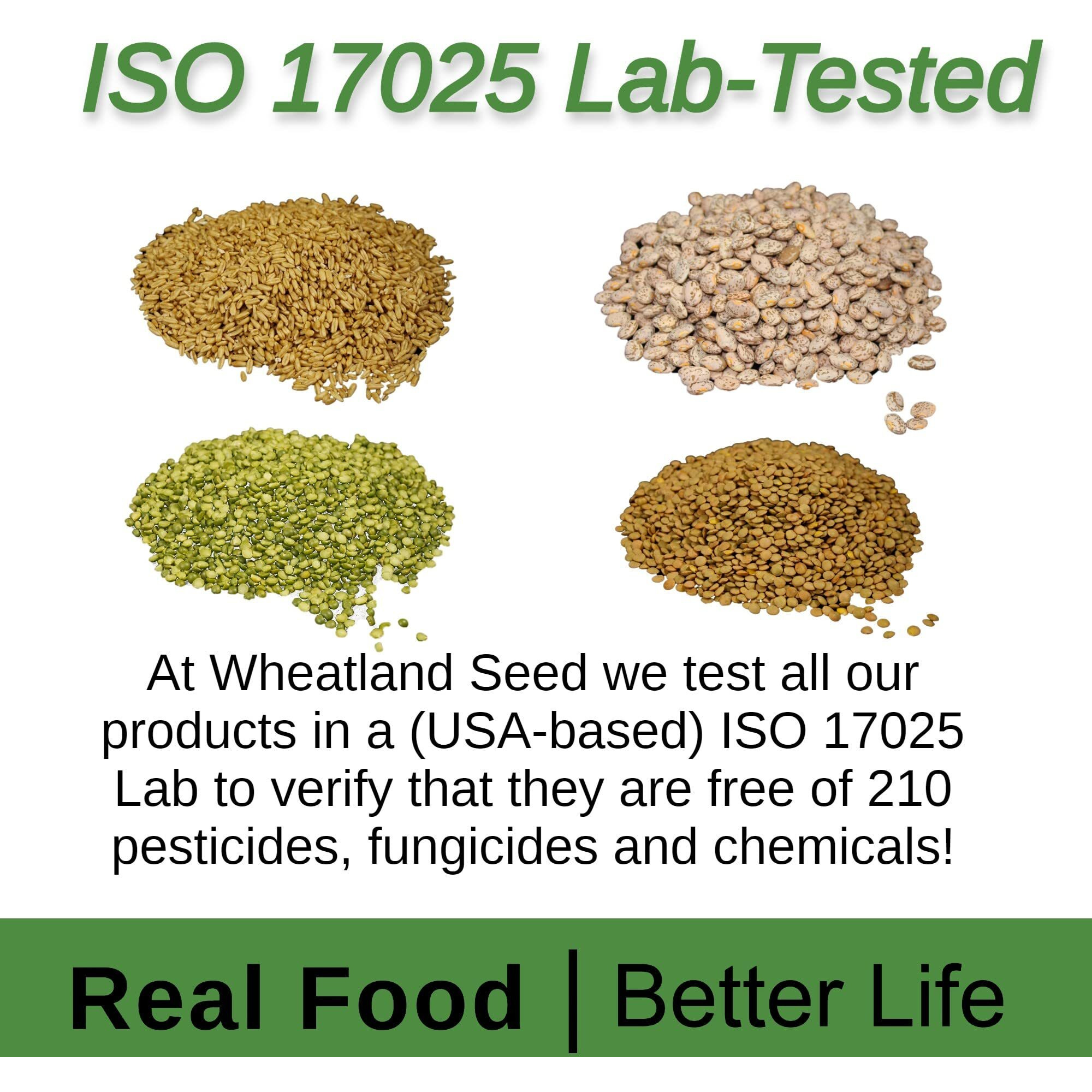 Wheatland Soft White Wheat Berries  23 Lbs  Delicious  Healthy Food Option  Farm Fresh  Mylar And Bucket Provide 25 Year Shelf Life  Emergency Food Storage  Non-Gmo  Lab Tested Chemical-Free  Premium Baking Quality  Sproutable