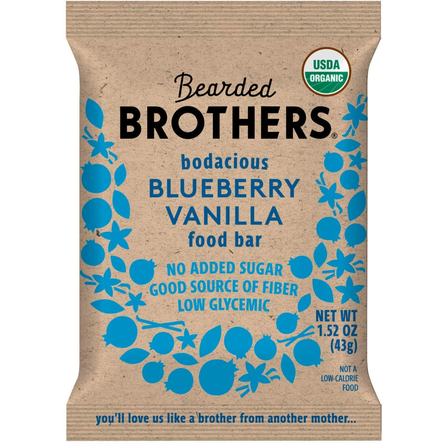 Bearded Brothers Organic Vegan Protein Energy Bars - Gluten Free, Soy Free, Paleo, Fiber, Whole 30 | Non Gmo, Low Glycemic | 12 Pack Blueberry Vanilla