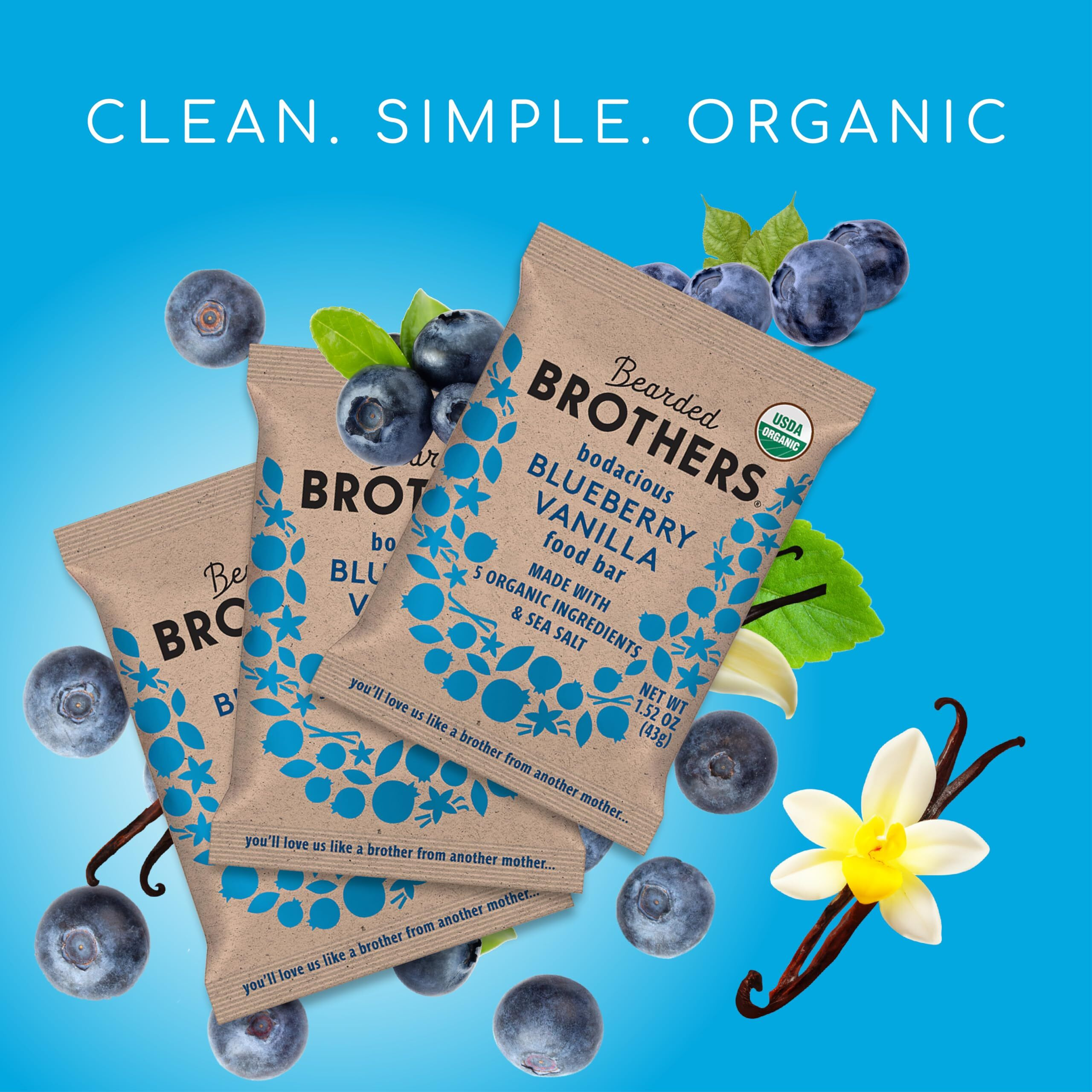 Bearded Brothers Organic Vegan Protein Energy Bars - Gluten Free, Soy Free, Paleo, Fiber, Whole 30 | Non Gmo, Low Glycemic | 12 Pack Blueberry Vanilla