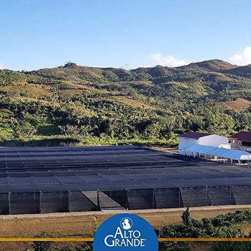 Alto Grande Super Premium Coffee Beans, Medium Dark Roast, Single Origin, Puerto Rico Arabica, Whole Bean, 2 Pound (Pack Of 1)