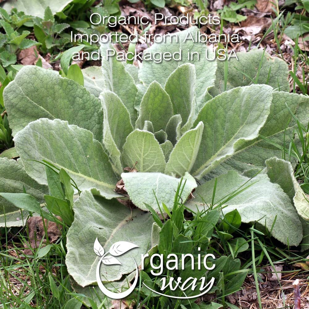 Organic Way Mullein Leaf | Herbal Tea (Verbascum Thapsus) Cut & Sifted - European Wild-Harvest | Organic & Kosher Certified | Non Gmo & Usda Certified | Origin - Albania (1Lbs / 16Oz)