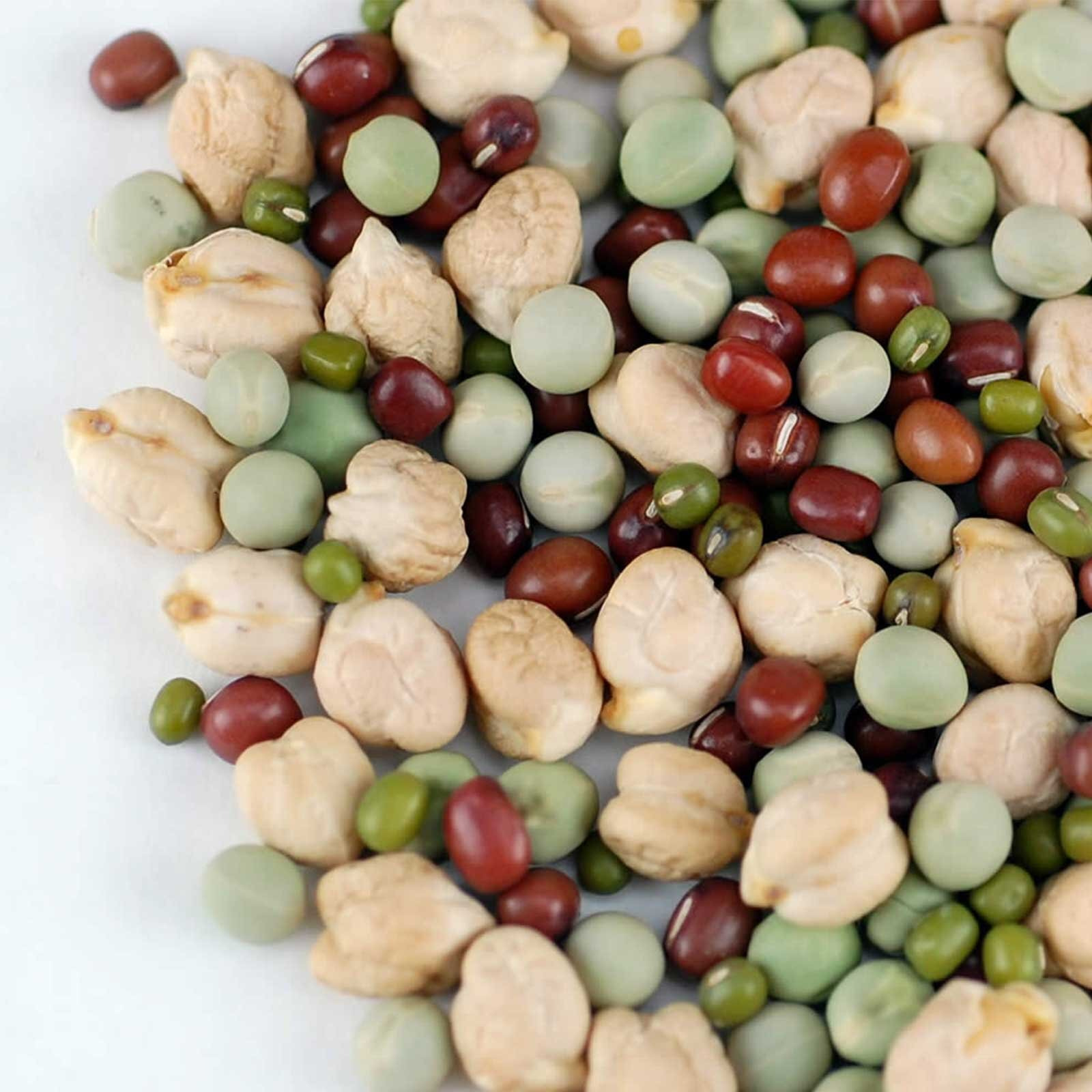 Handy Pantry Protein Powerhouse Sprouting Seed Mix 5 Lb - Organic, Non-Gmo - Sprouting Sprouts, Food Storage. High Protien Sprouts - Pea, Mung, Green Pea, Adzuki