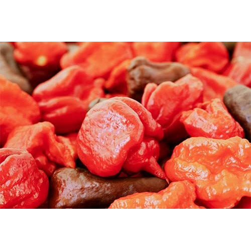 Birch & Meadow Carolina Reaper Chile Powder, 8 Oz, Extremely Hot, Over 700,000 Shu