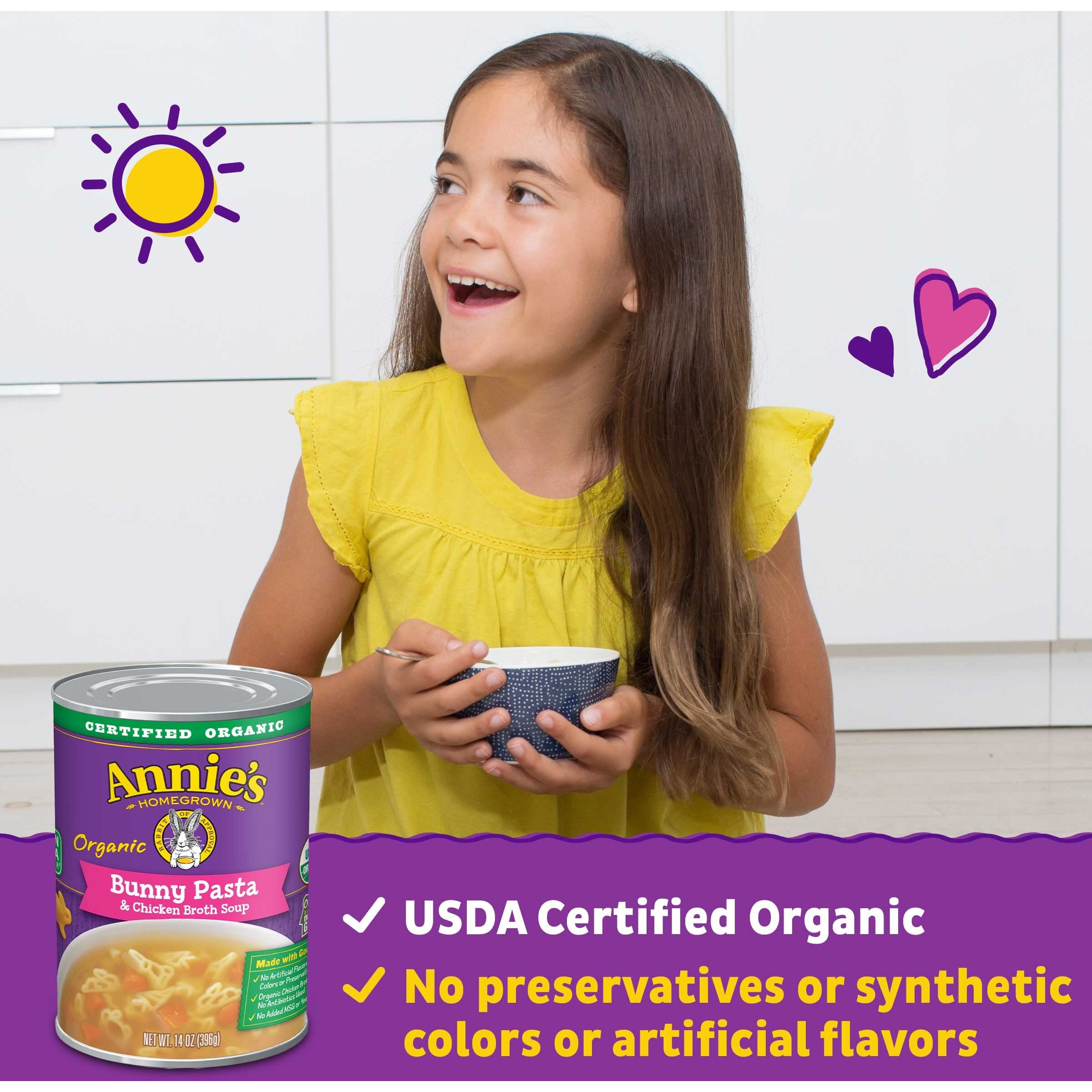 Annie's Organic Bunny Pasta & Chicken Broth Soup, 14 Oz. (Pack Of 8)