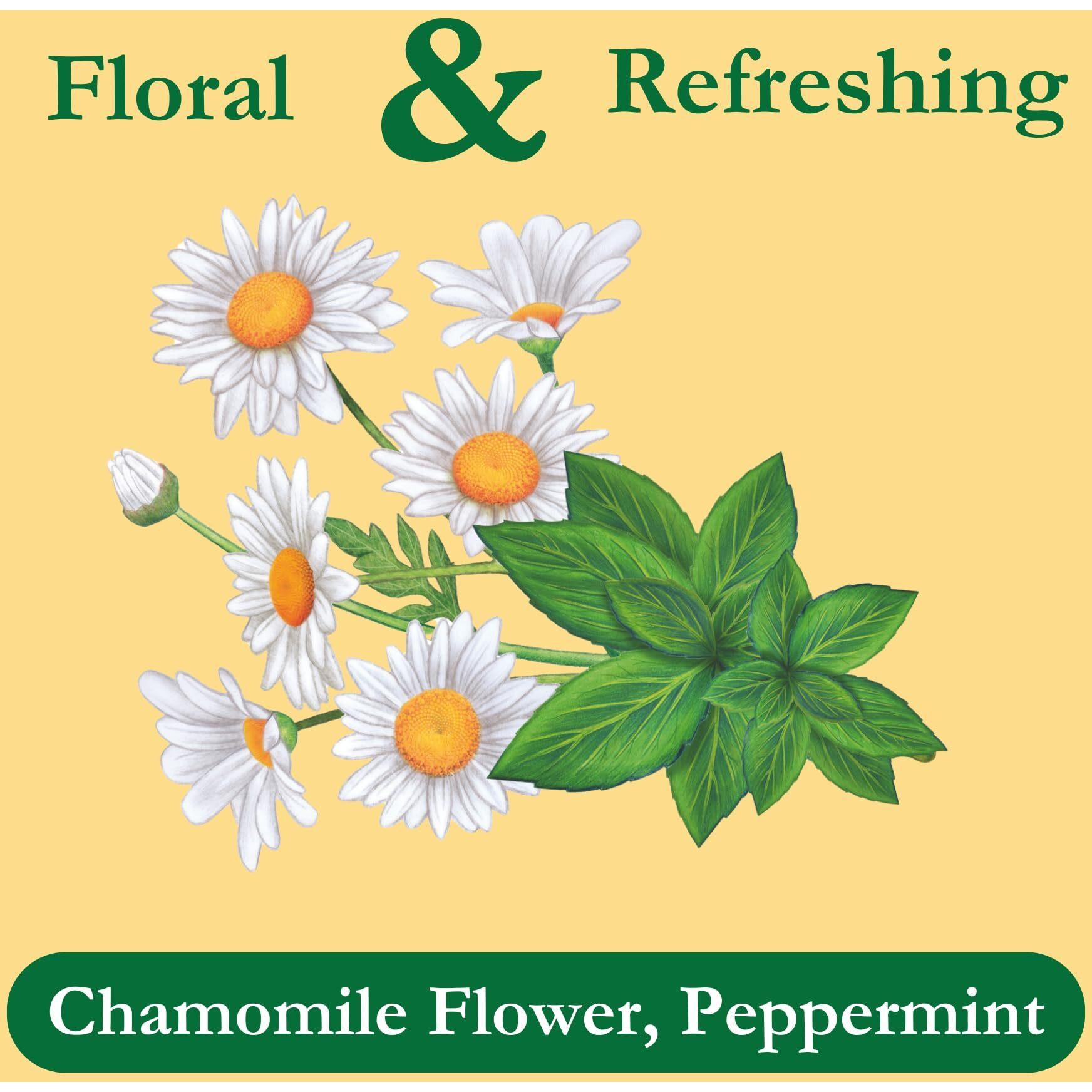 Tadin Chamomile & Mint Tea, Herbal Tea, Tea Bags Individually Wrapped, Caffeine Free Tea, 24 Tea Bags Per Box, Pack Of 6