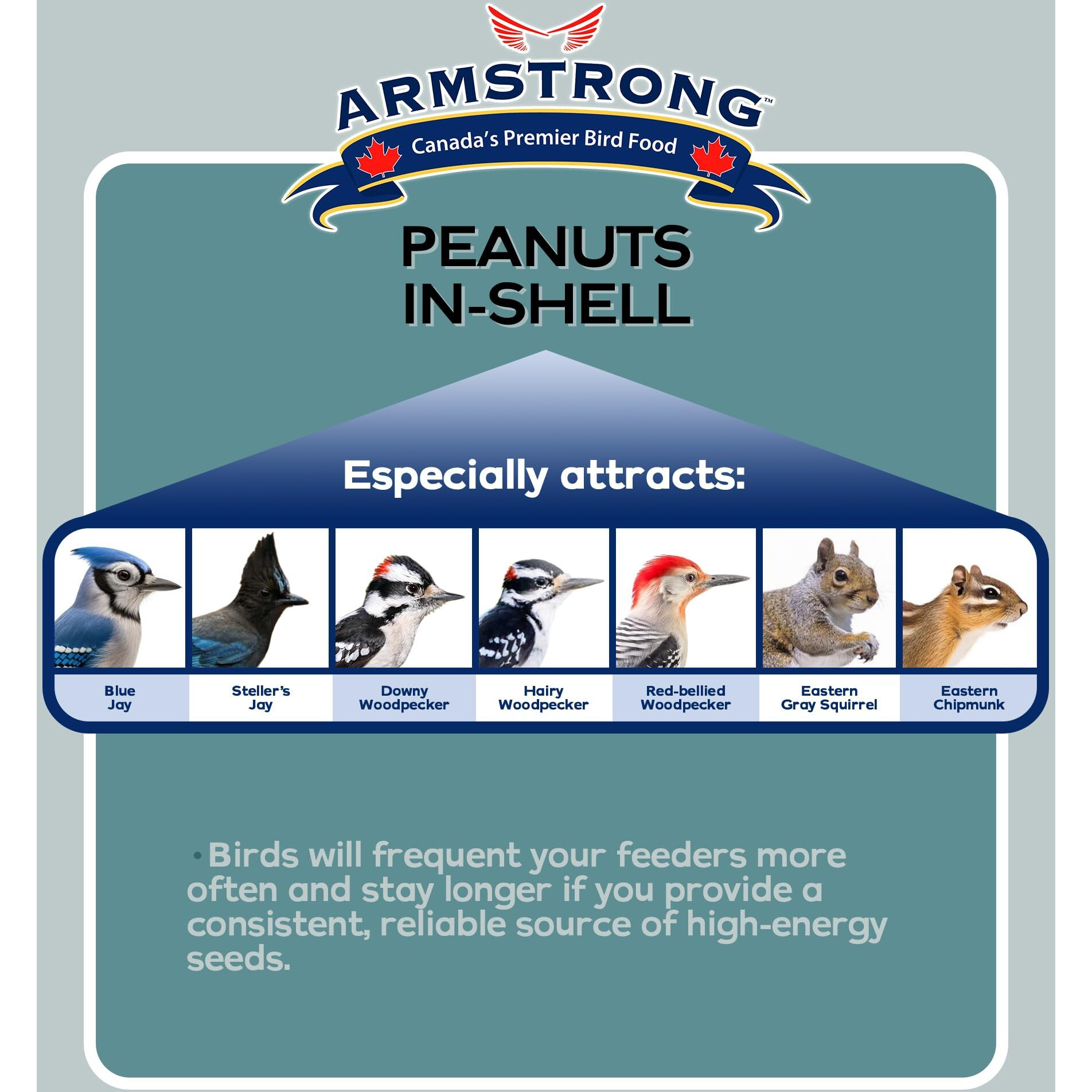 Armstrong Bird Food Peanuts-In-Shell, 3 Pounds - For Blue Jays, Eastern Grey Squirrels And Eastern Chipmunks For Outside Feeders