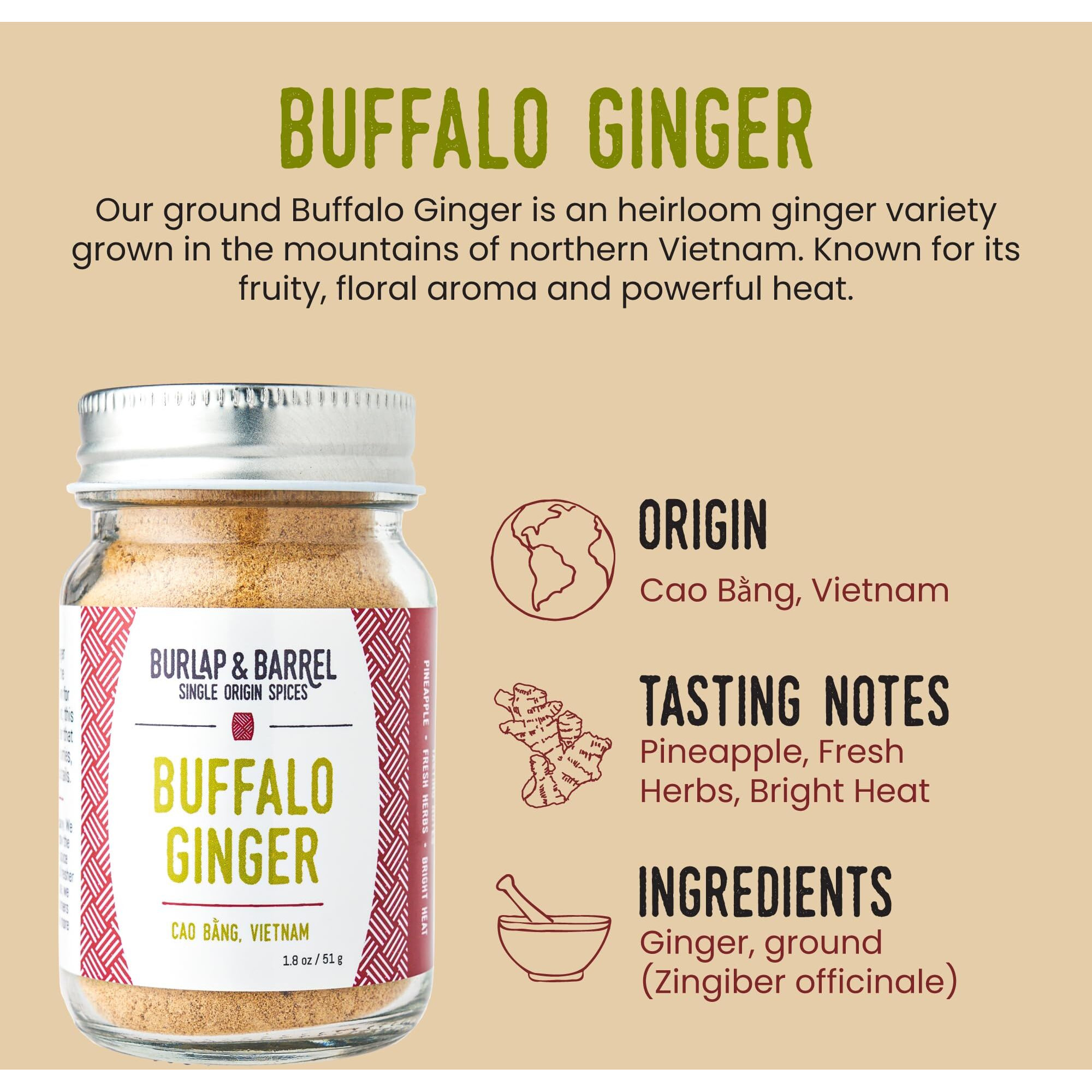 Burlap & Barrel Buffalo Ginger - Spicy, Fruity And Intense Heirloom Ginger Powder With A Bite - Add To Stir Fries, Soups, And Teas - Mother's Day Gift Ideas - 1.8Oz Glass Jar