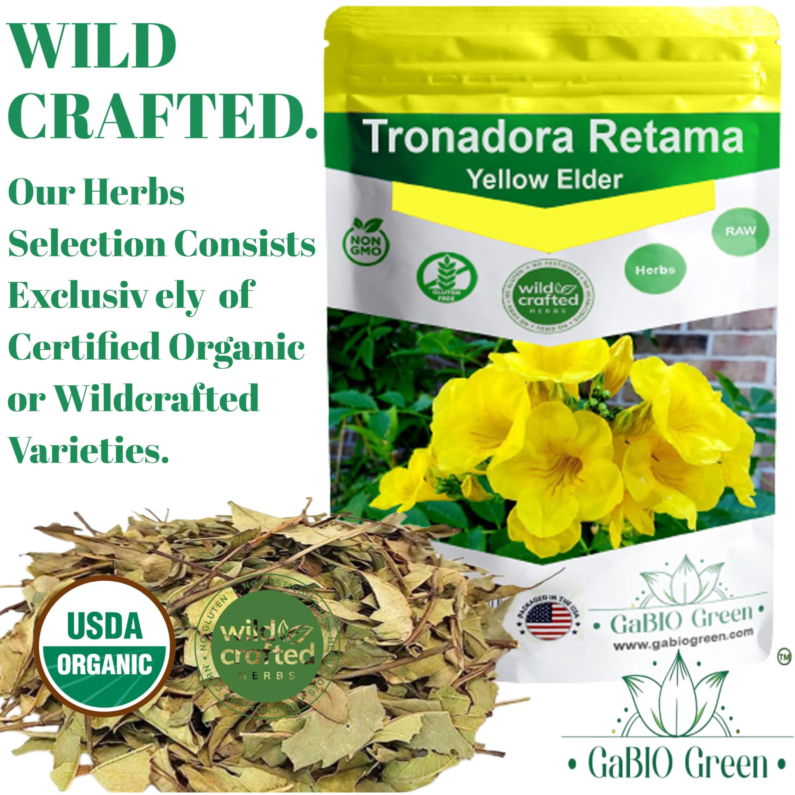Gabio Green-Tronadora Retama, 16 Oz/ 1 Pound Gr Premium Quality Tronadora Tea, Resealeble Bag, Yellow Elder Herbs, Tronadora Hierba Non Gmo, Resealable Bag. 16 Oz/ 1 Pound