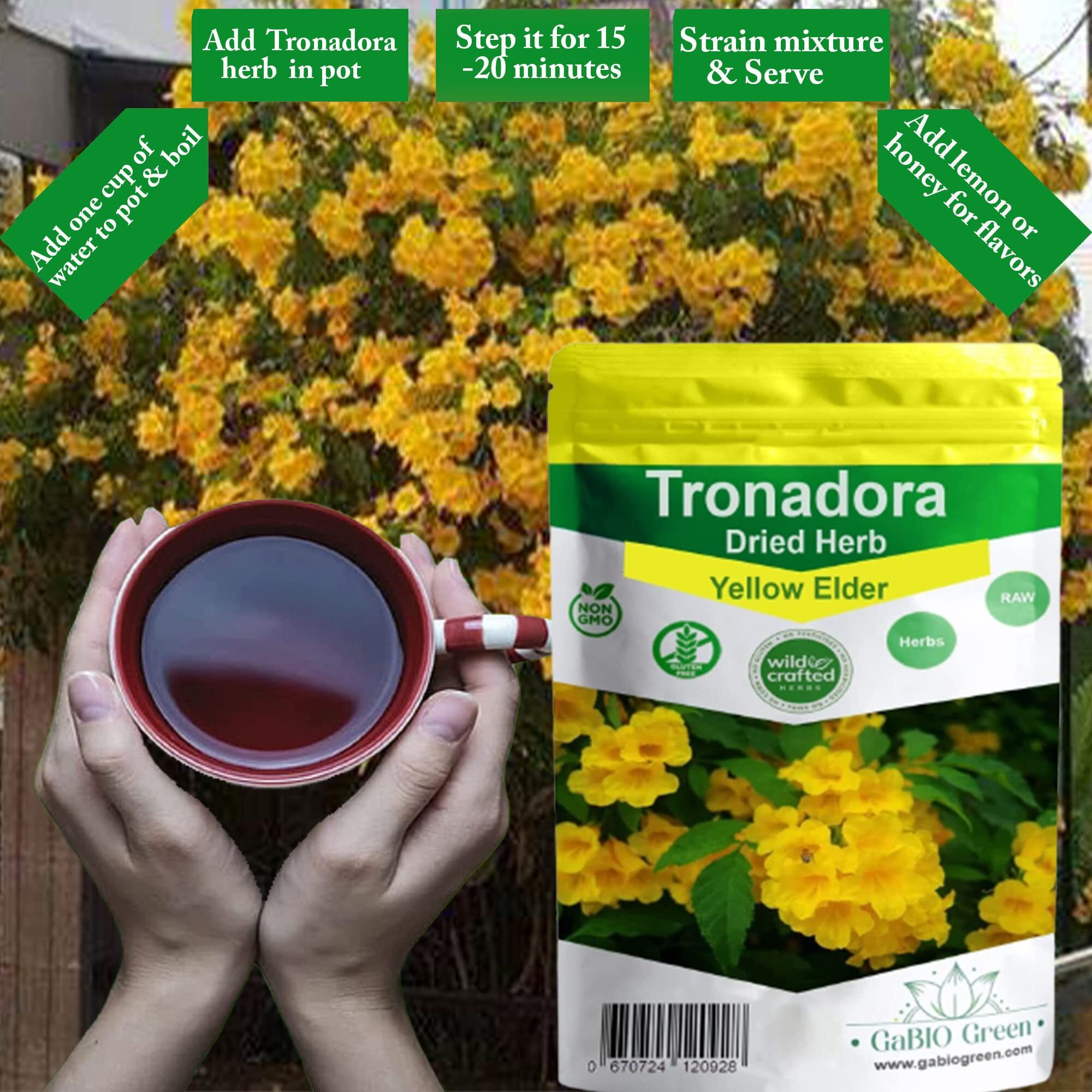 Gabio Green-Tronadora Retama, 16 Oz/ 1 Pound Gr Premium Quality Tronadora Tea, Resealeble Bag, Yellow Elder Herbs, Tronadora Hierba Non Gmo, Resealable Bag. 16 Oz/ 1 Pound