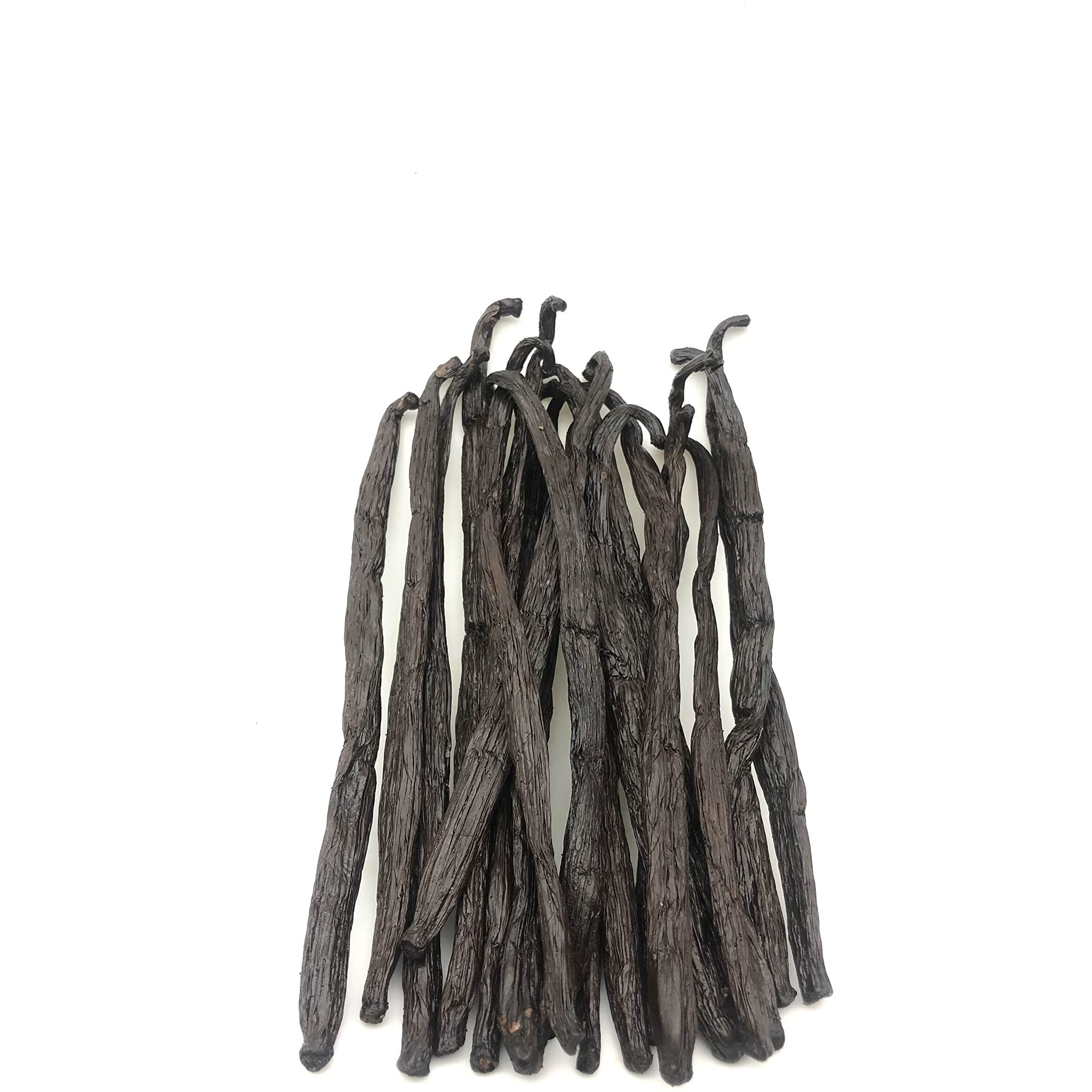 10 Madagascar Vanilla Beans - Grade A 5""-7"" Creamy Gourmet Bourbon For Natural Homemade Extract And Baking & Cooking 10 Count(Pack Of 1)