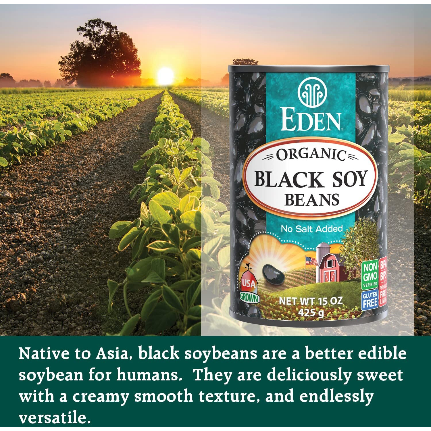 Eden Organic Black Soybeans, 15 Oz Can (6-Pack), Complete Protein, No Salt Added, Non-Gmo, Gluten Free, U.S. Grown, Heat And Serve, Macrobiotic, Soy Beans
