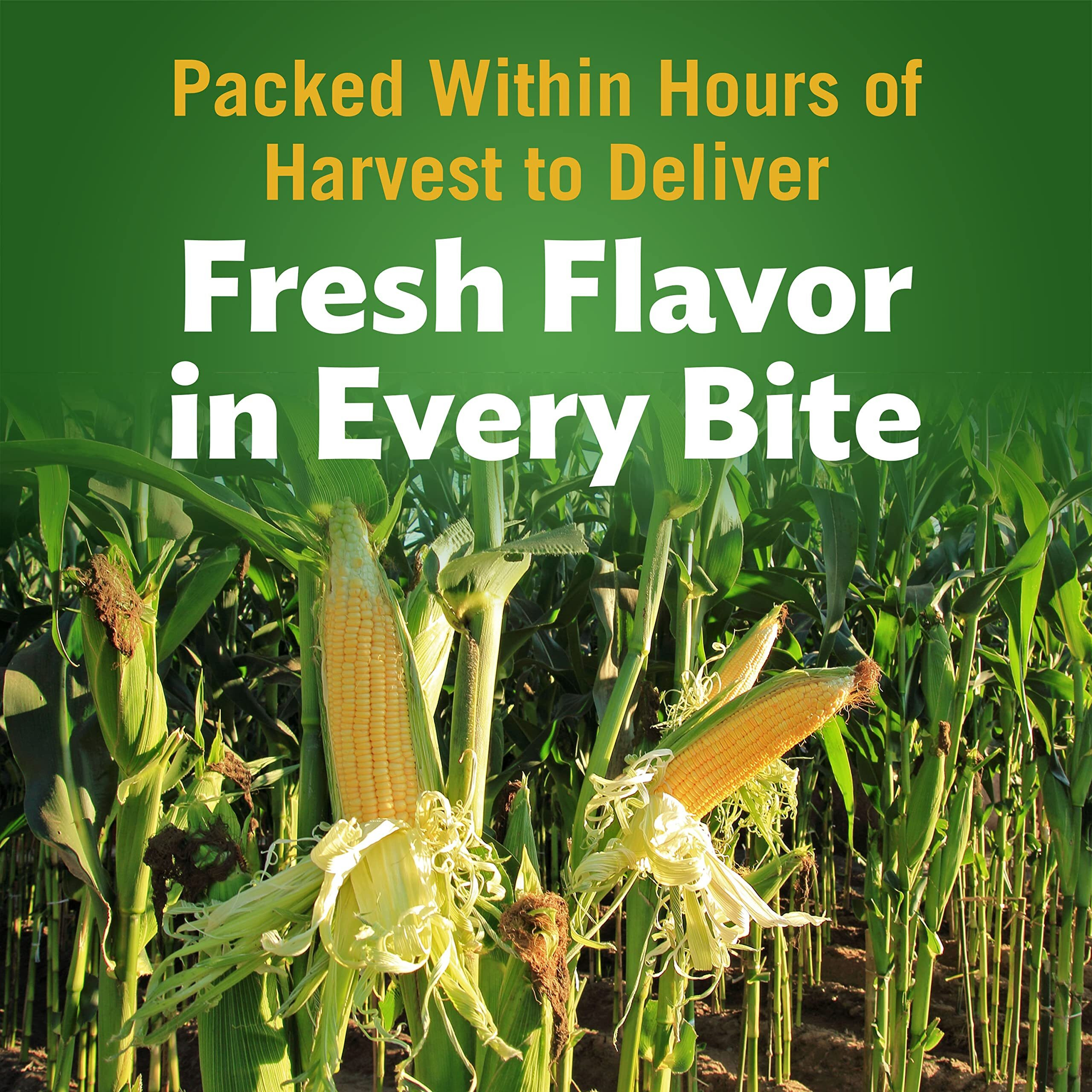 Del Monte Canned Fresh Cut Golden Sweet Whole Kernel Corn, 8.75-Ounce (Pack Of 12)