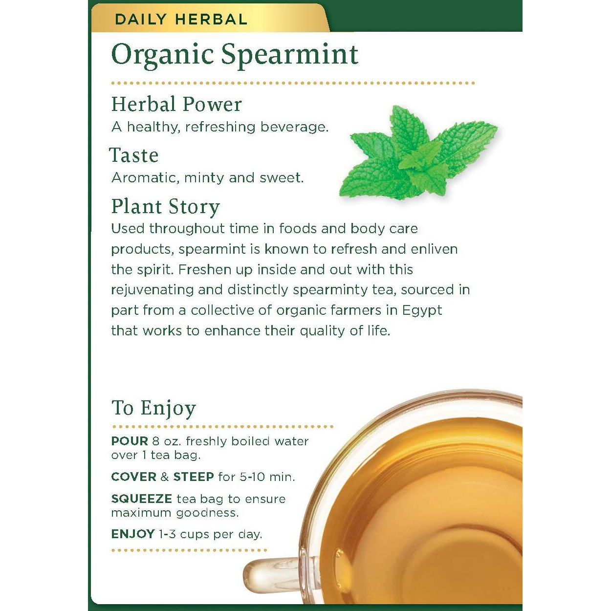 Traditional Medicinals Tea, Organic Spearmint, Supports Everyday Wellness, Healthy & Refreshing, 16 Tea Bags