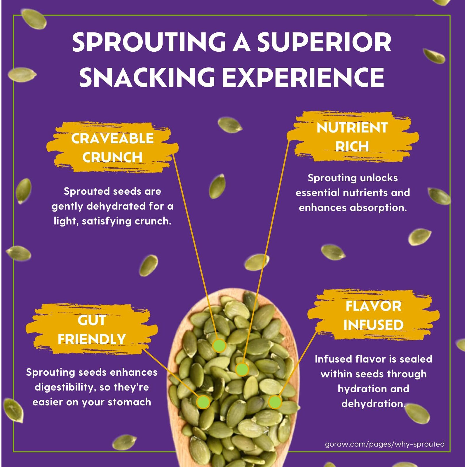 Go Raw Organic Sprouted Everything Bagel Snacking Seeds, 4 Oz, 6 Pack, Pumpkin & Sunflower Seeds, Keto, Kosher