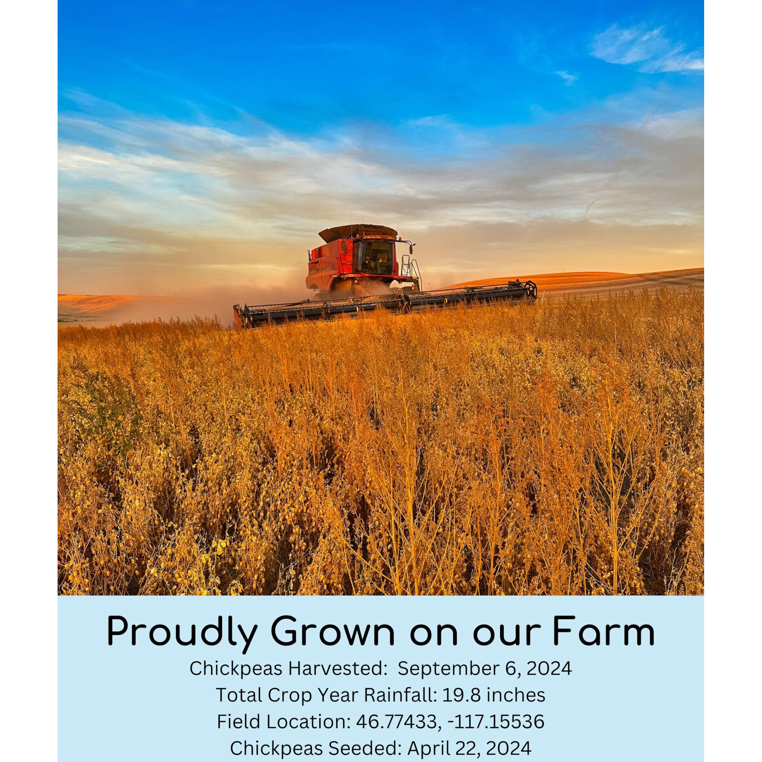 Chickpea Flour | 3 Lbs | Family Farmed In Washington State | 100% Desiccant Free | Non-Gmo Project Verified | 100% Non-Irradiated | Certified Kosher | Garbanzo Bean Flour | Kraft Bag