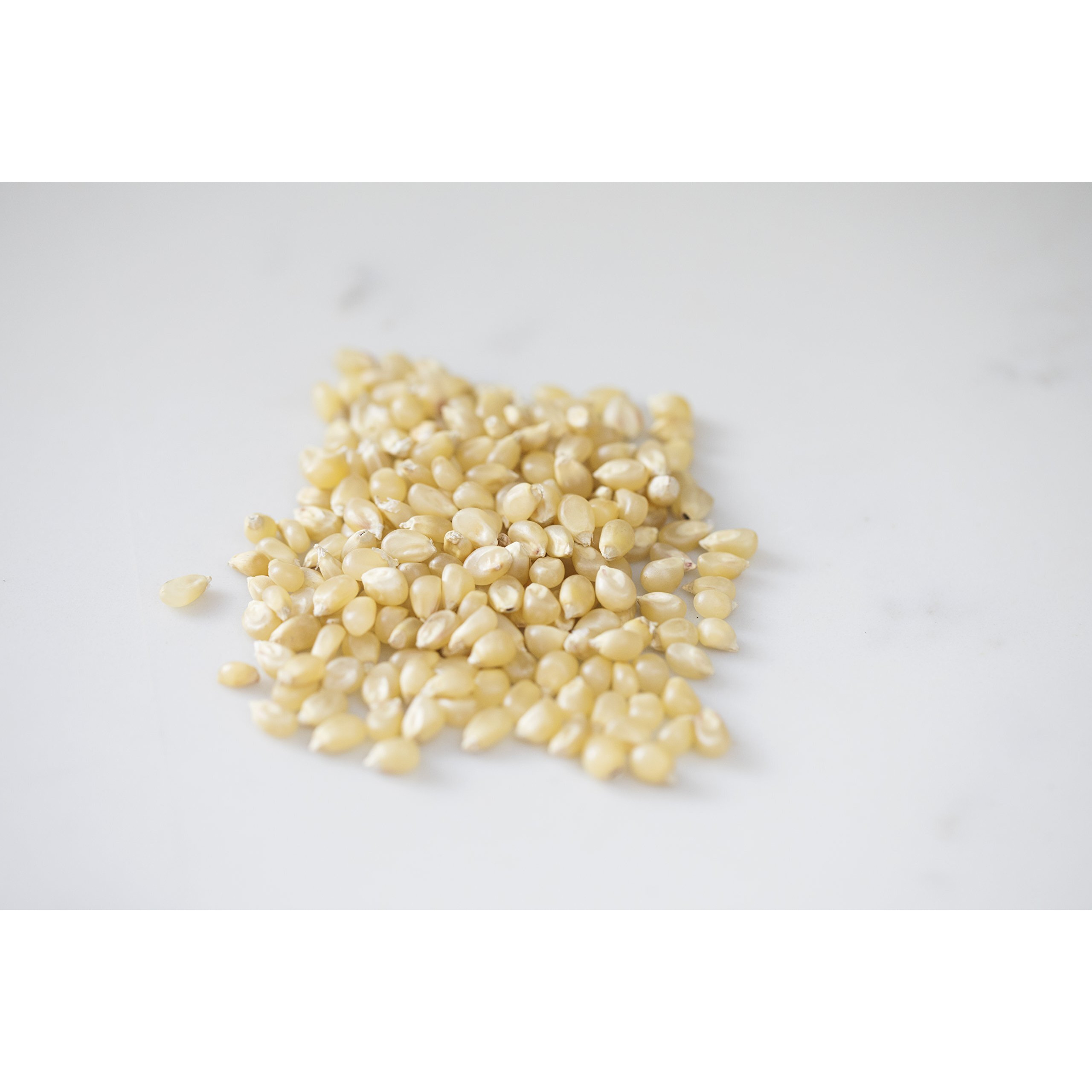 Amish Country Popcorn | 2 Lb Medium White Popcorn | Old Fashioned, Non-Gmo And Gluten Free (2Lb Bags)