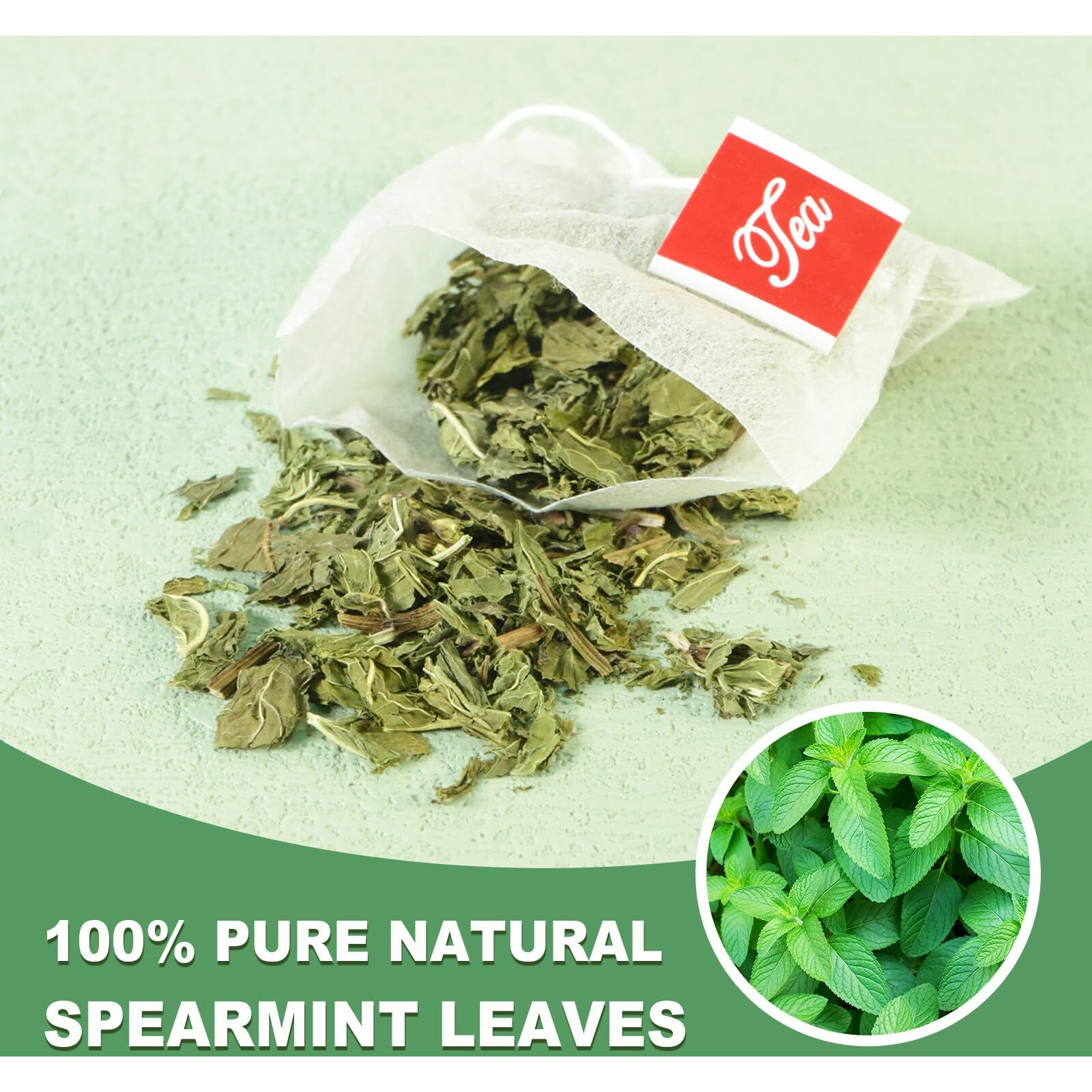Tearelae - Spearmint Tea - 1.5G X 50 Count - 100% Pure Spearmint Leaves Tea Bag - Non-Gmo - Naturally Caffeine-Free Herbal Tea - Support Digestion & Natural Breath Freshener
