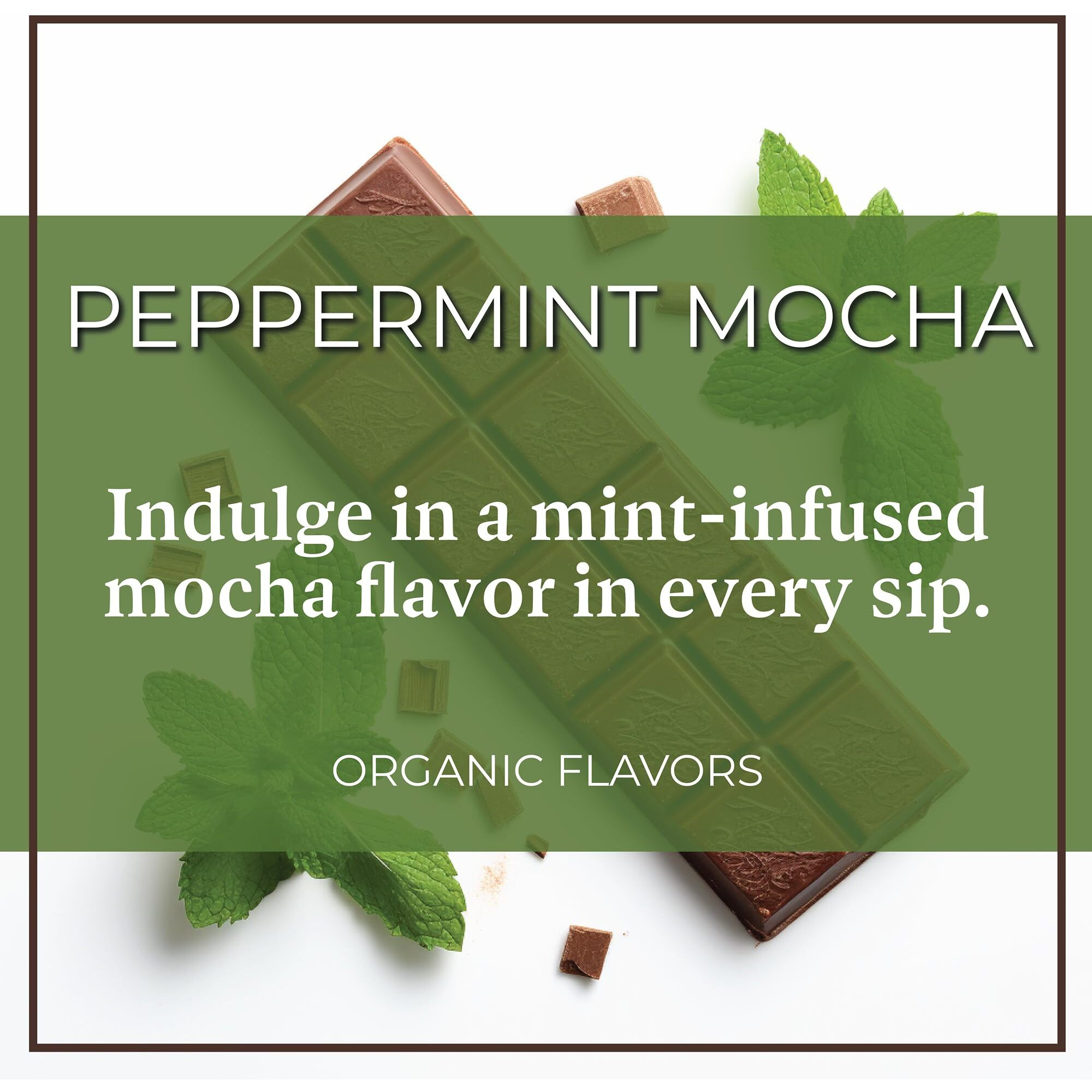 The Bean Organic Coffee Company Peppermint Mocha, Medium Roast, Ground Coffee, 16-Ounce Bag, Caf   Molido Tostado Org  Nico